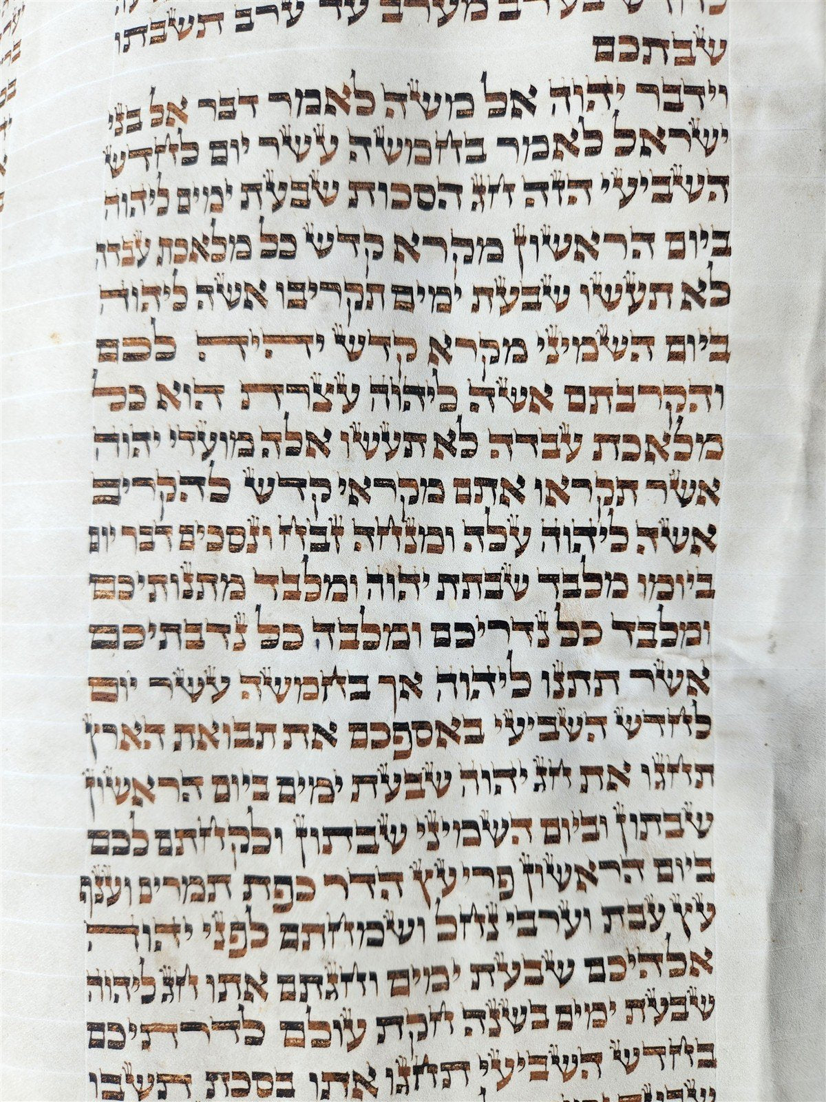 TORAH SCROLL FRAGMENT MANUSCRIPT on VELLUM 19th c. ANTIQUE BIBLE Leviticus 8-27