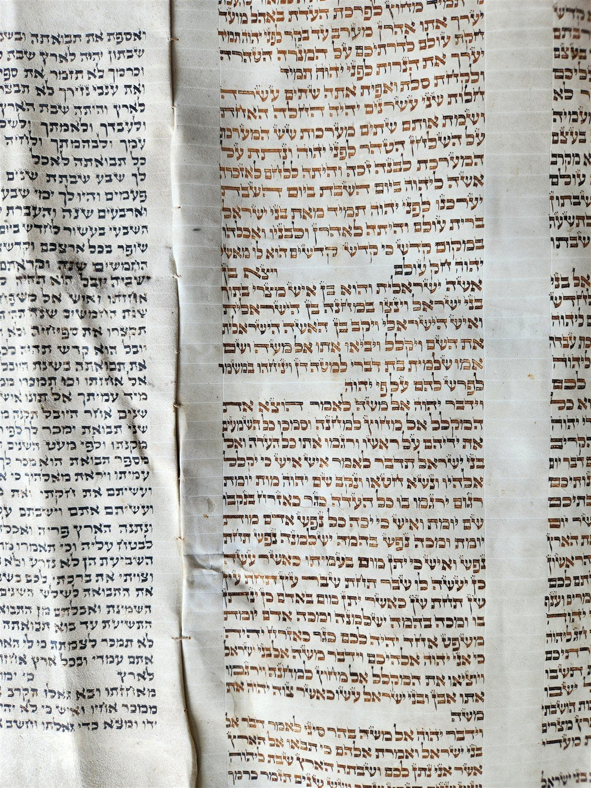TORAH SCROLL FRAGMENT MANUSCRIPT on VELLUM 19th c. ANTIQUE BIBLE Leviticus 8-27