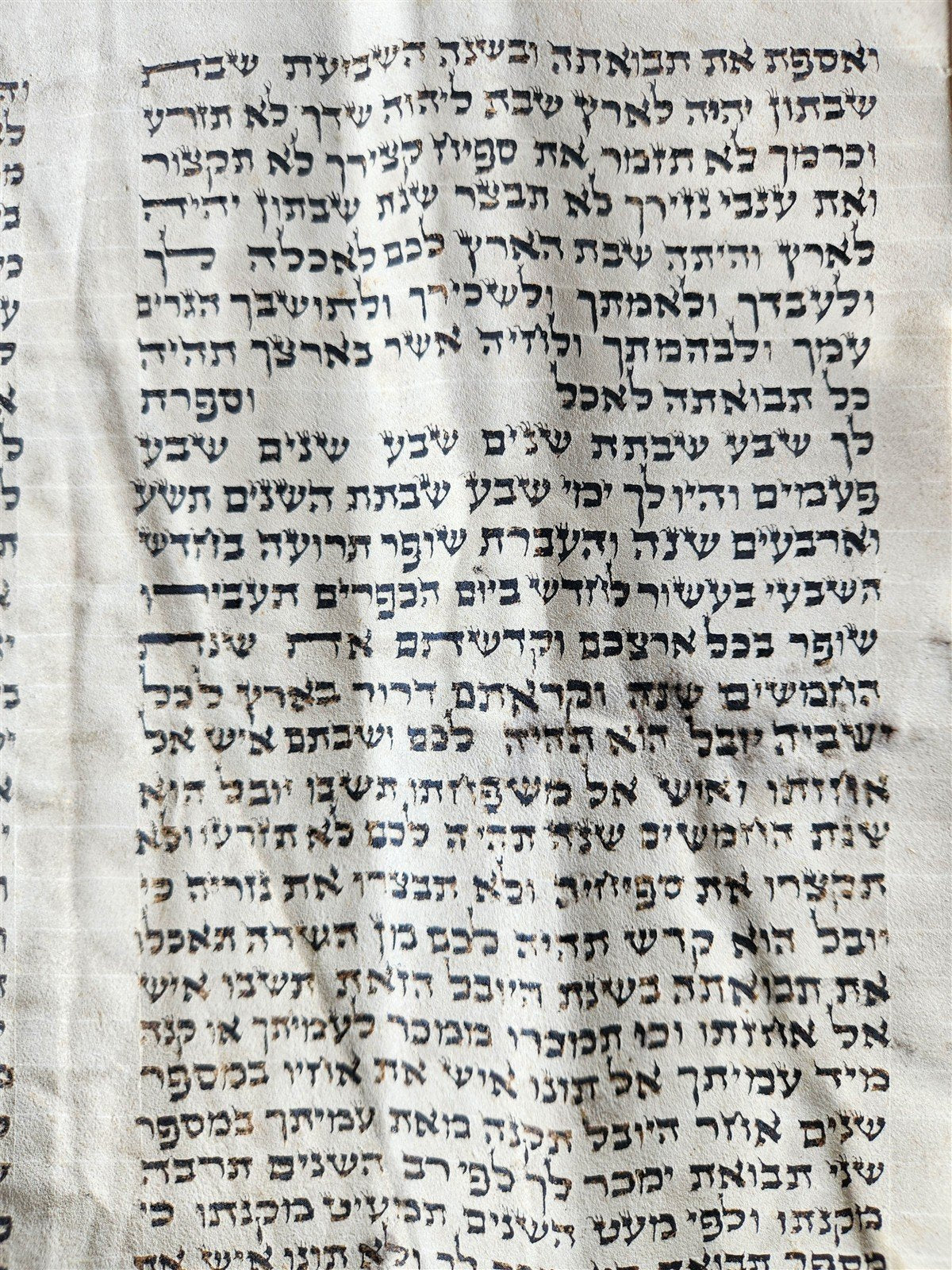 TORAH SCROLL FRAGMENT MANUSCRIPT on VELLUM 19th c. ANTIQUE BIBLE Leviticus 8-27
