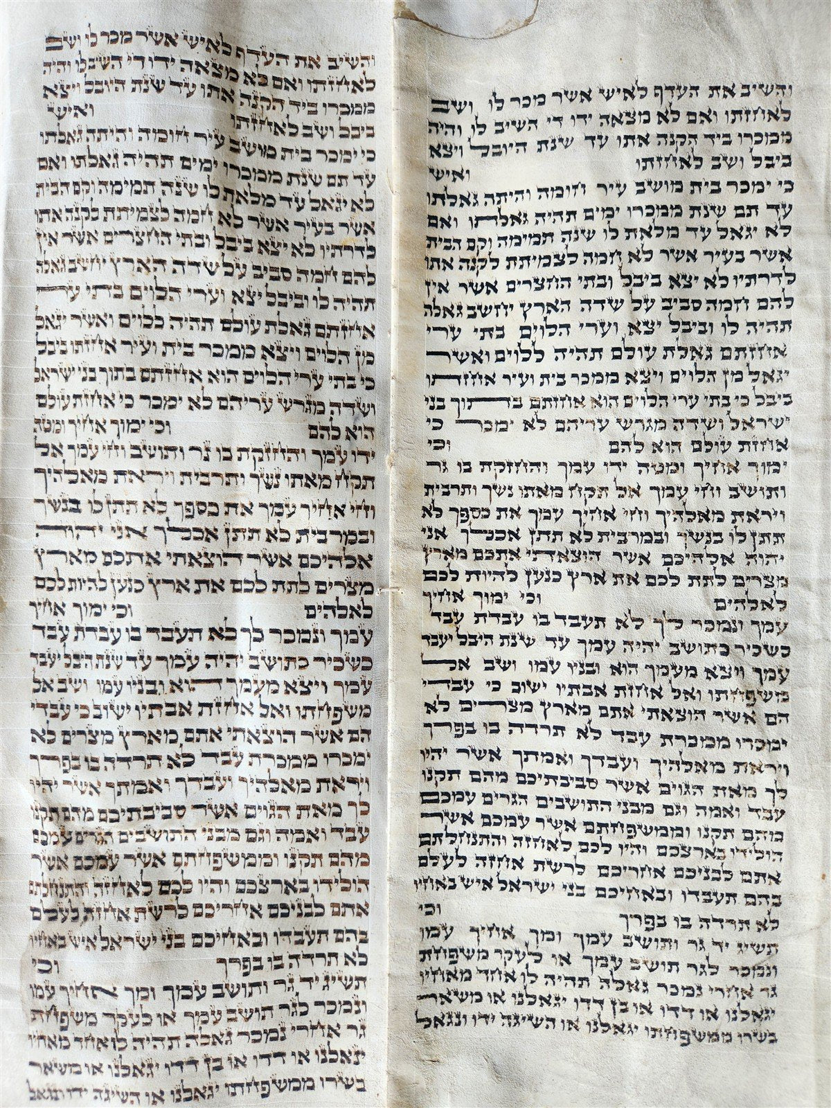 TORAH SCROLL FRAGMENT MANUSCRIPT on VELLUM 19th c. ANTIQUE BIBLE Leviticus 8-27
