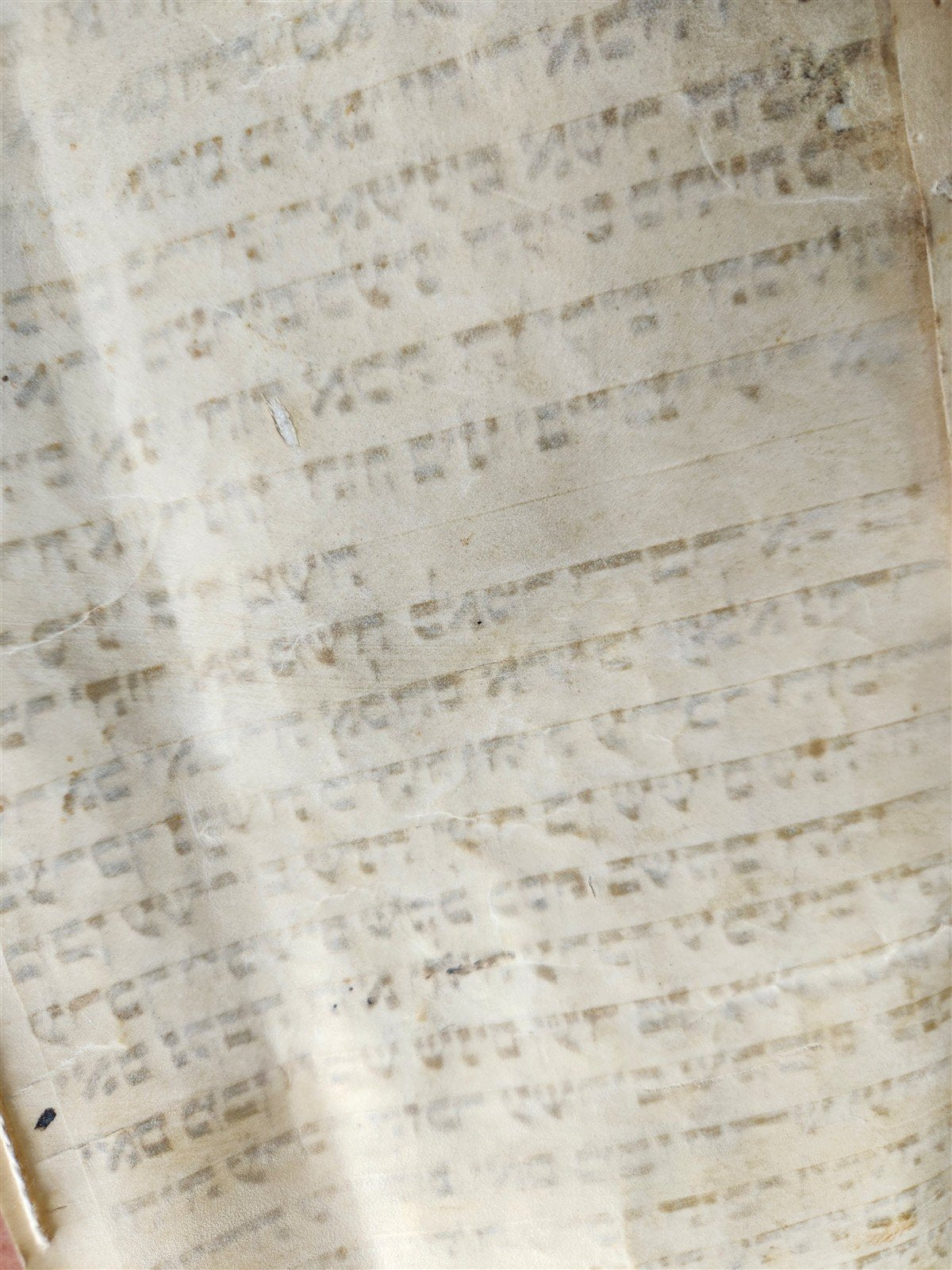 TORAH SCROLL FRAGMENT MANUSCRIPT on VELLUM 19th c. ANTIQUE BIBLE Leviticus 8-27