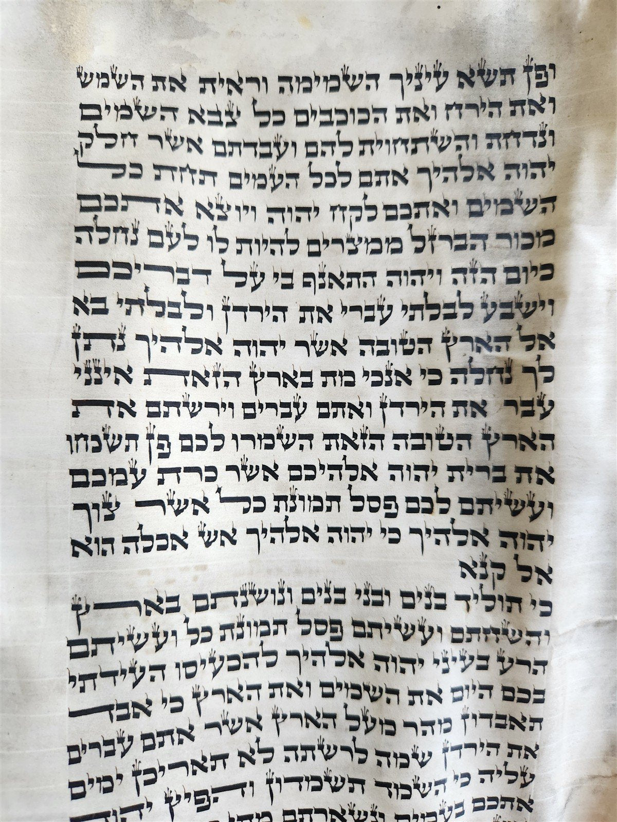 TORAH SCROLL FRAGMENT MANUSCRIPT on VELLUM 19th cent. ANTIQUE BIBLE DEUTERONOMY