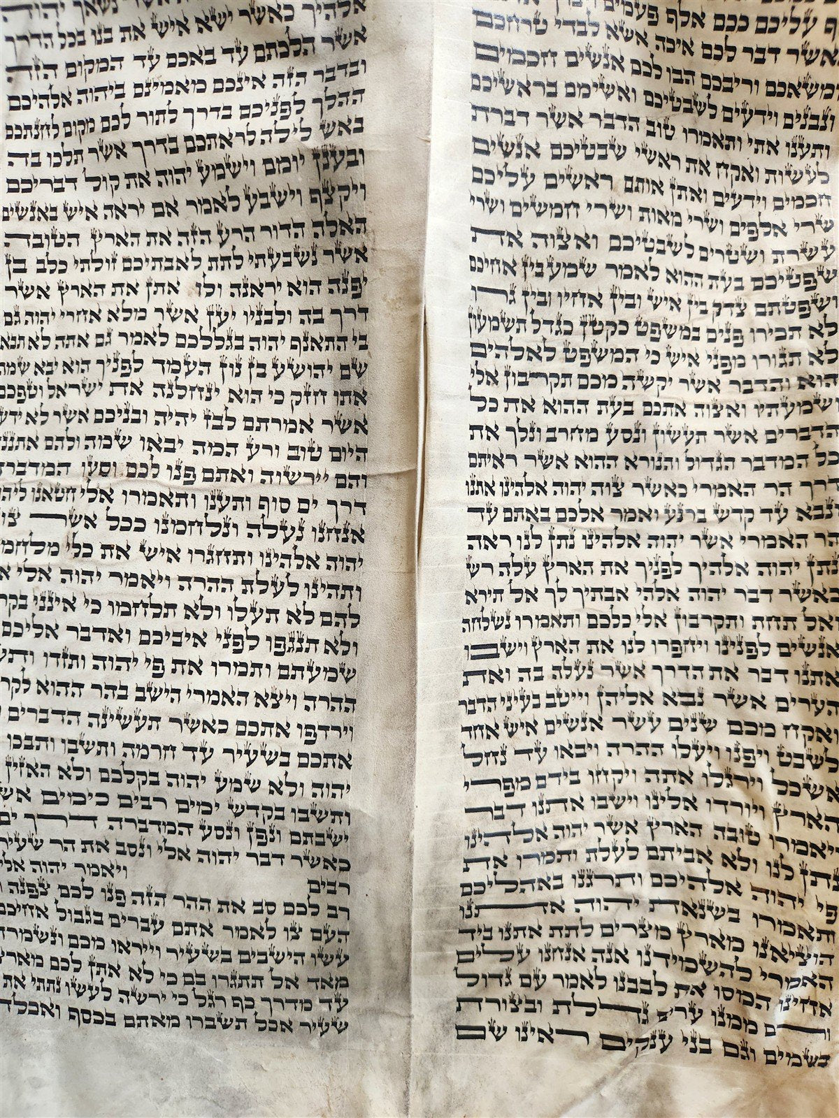 TORAH SCROLL FRAGMENT MANUSCRIPT on VELLUM 19th cent. ANTIQUE BIBLE DEUTERONOMY