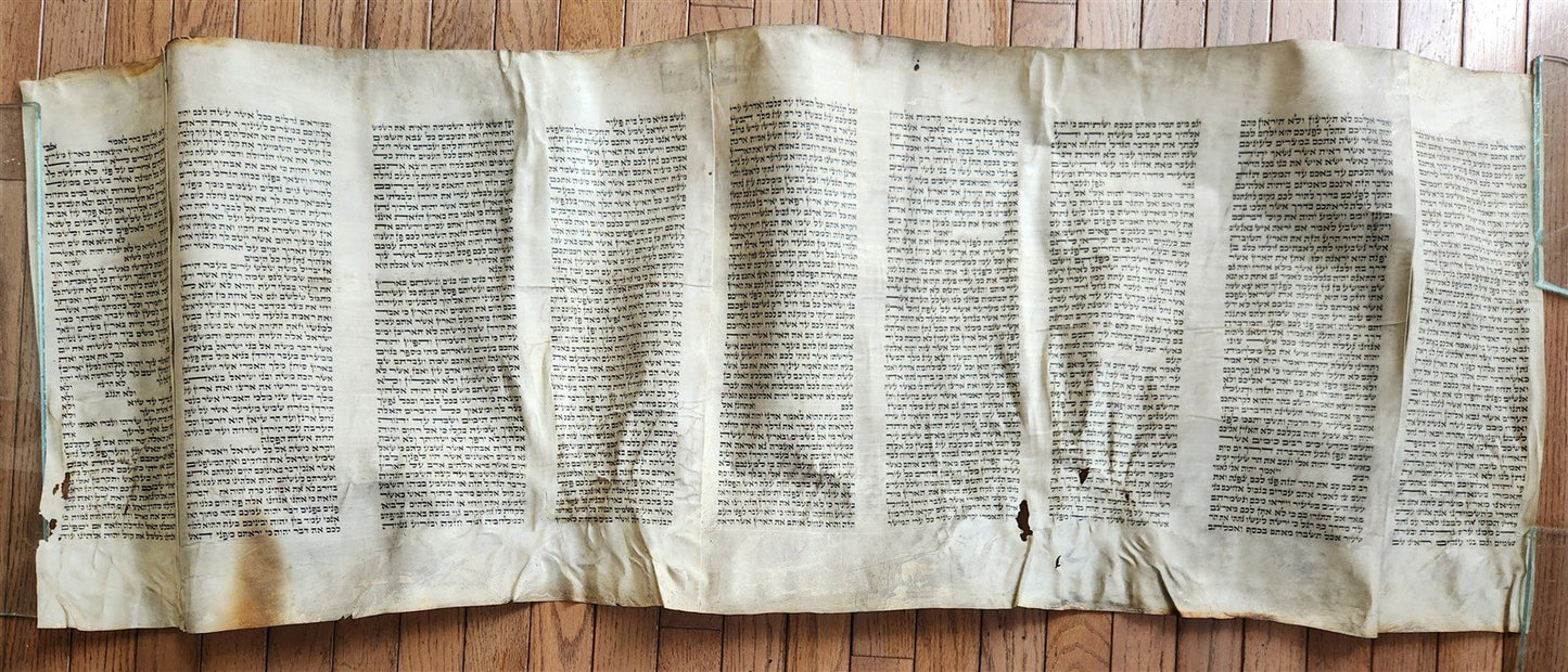 TORAH SCROLL FRAGMENT MANUSCRIPT on VELLUM 19th cent. ANTIQUE BIBLE DEUTERONOMY