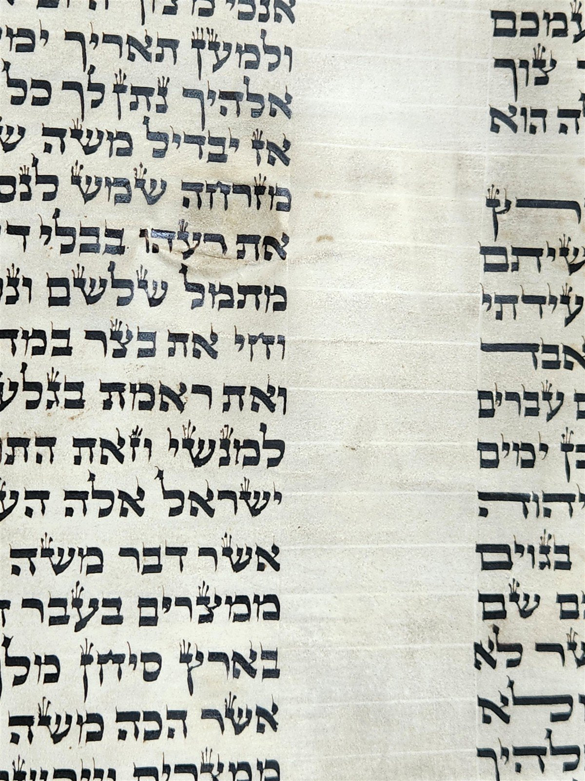 TORAH SCROLL FRAGMENT MANUSCRIPT on VELLUM 19th cent. ANTIQUE BIBLE DEUTERONOMY