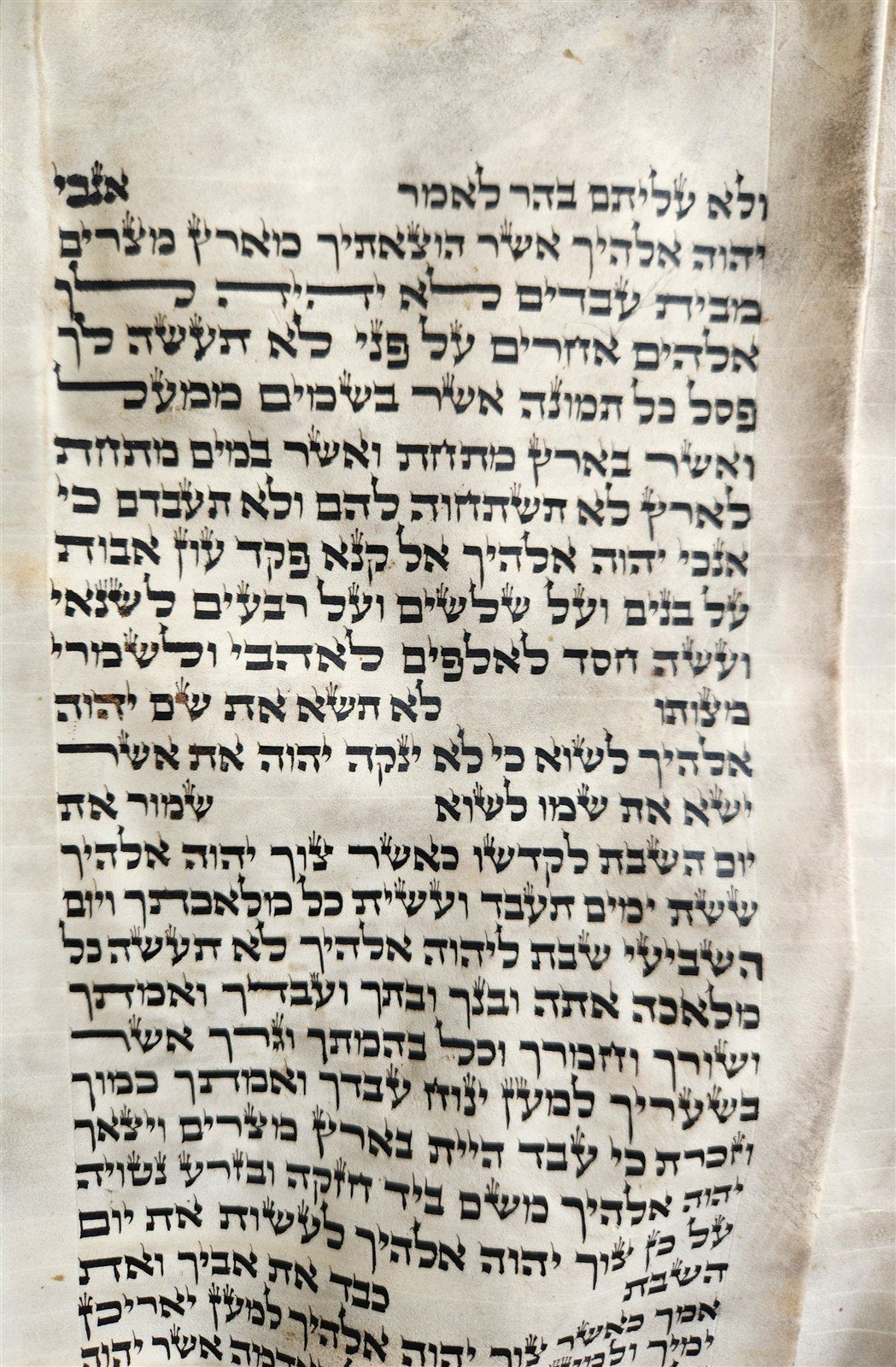 TORAH SCROLL FRAGMENT MANUSCRIPT on VELLUM 19th cent. ANTIQUE BIBLE DEUTERONOMY