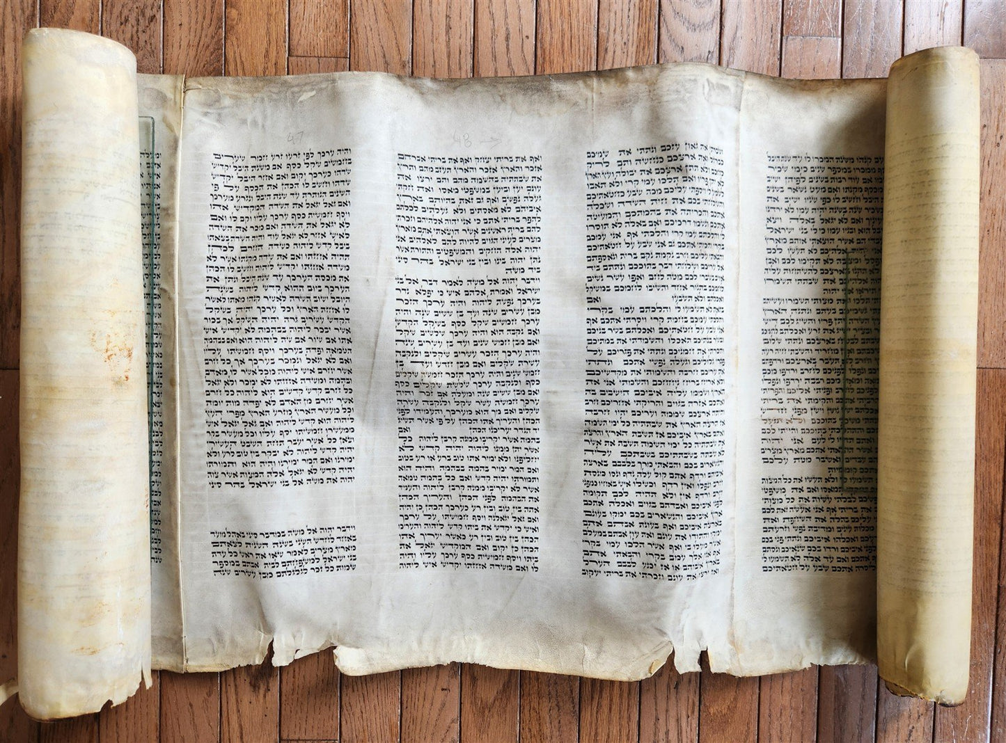 TORAH SCROLL FRAGMENT MANUSCRIPT on VELLUM 19th century ANTIQUE BIBLE LEVITICUS