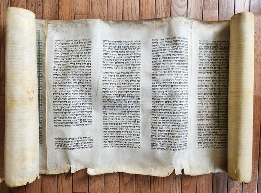 TORAH SCROLL FRAGMENT MANUSCRIPT on VELLUM 19th century ANTIQUE BIBLE LEVITICUS