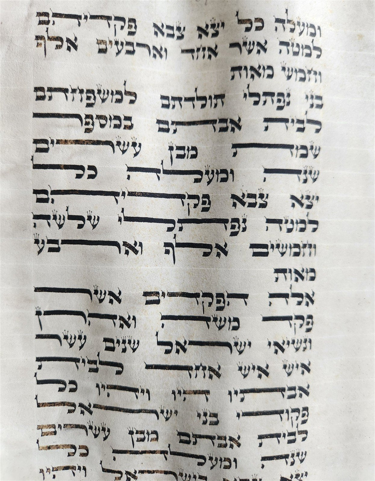 TORAH SCROLL FRAGMENT MANUSCRIPT on VELLUM 19th century ANTIQUE BIBLE LEVITICUS