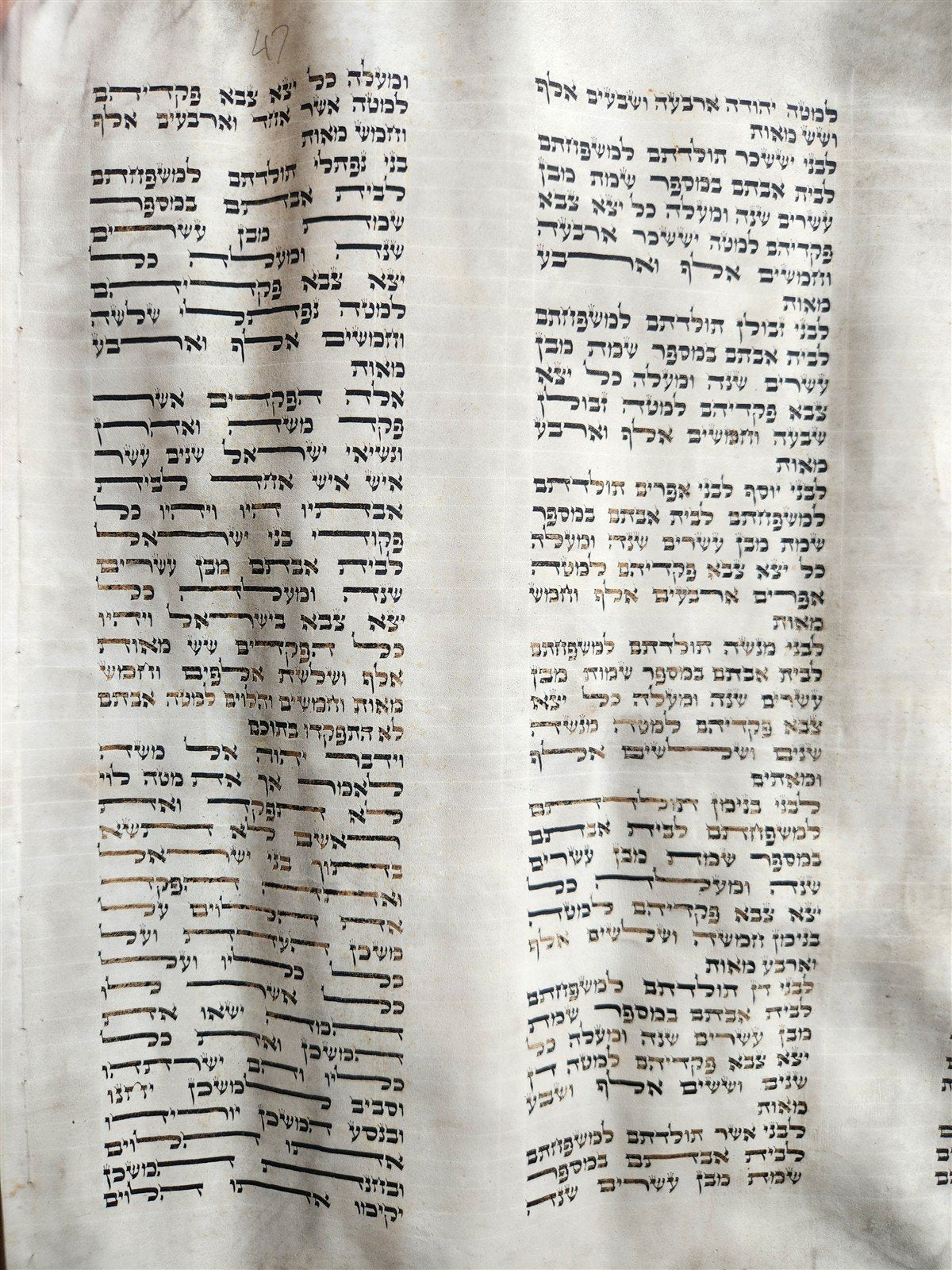 TORAH SCROLL FRAGMENT MANUSCRIPT on VELLUM 19th century ANTIQUE BIBLE LEVITICUS