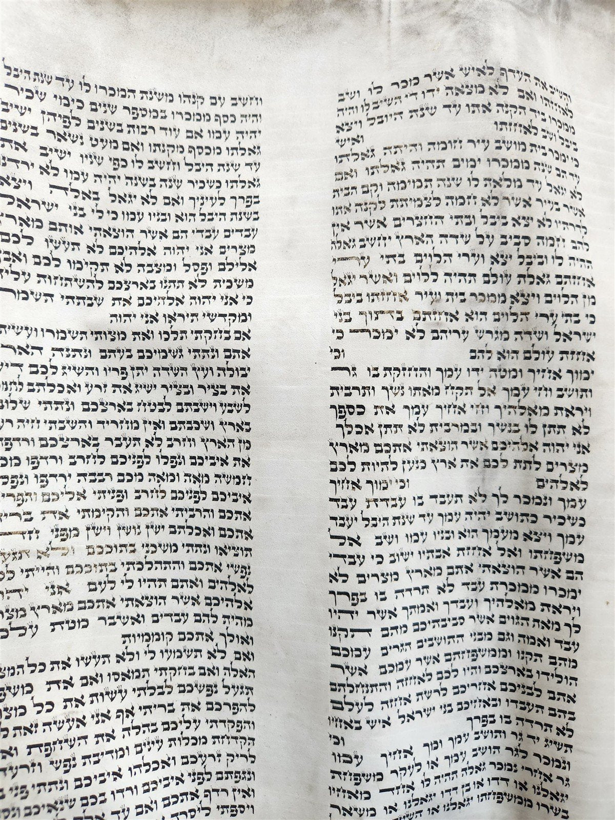 TORAH SCROLL FRAGMENT MANUSCRIPT on VELLUM 19th century ANTIQUE BIBLE LEVITICUS