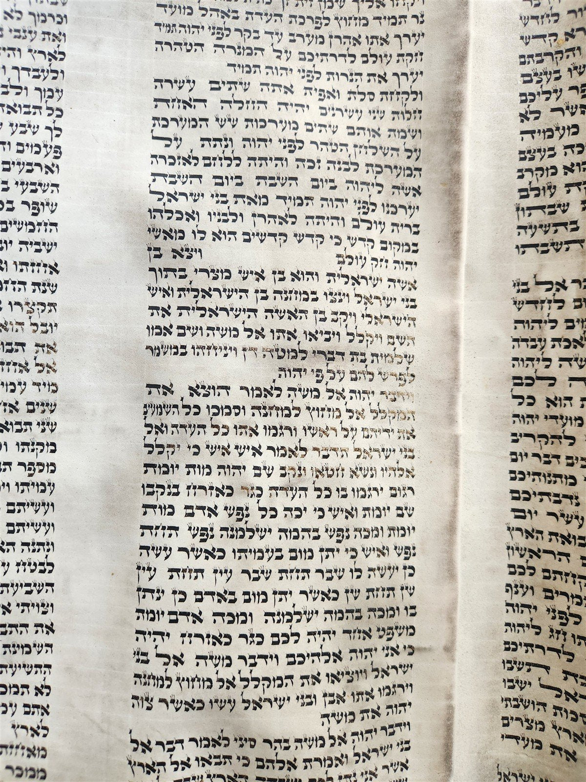 TORAH SCROLL FRAGMENT MANUSCRIPT on VELLUM 19th century ANTIQUE BIBLE LEVITICUS