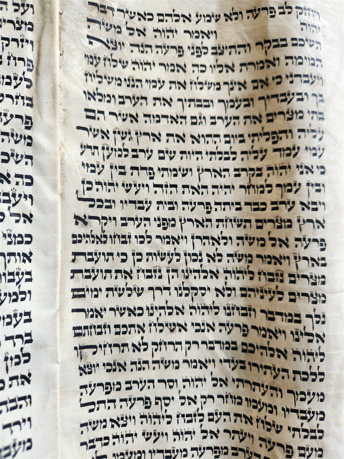 TORAH SCROLL FRAGMENT MANUSCRIPT on VELLUM 19th century ANTIQUE BIBLE EXODUS 12