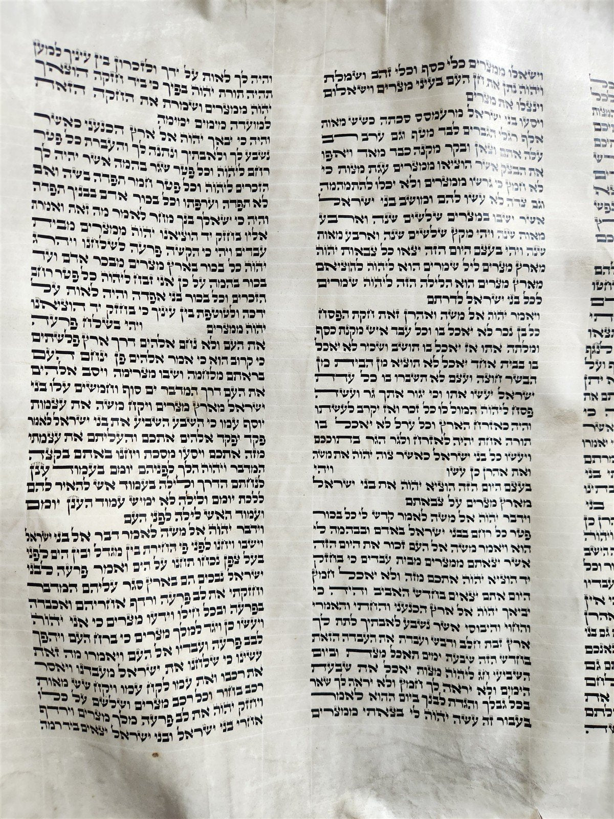 TORAH SCROLL FRAGMENT MANUSCRIPT on VELLUM 19th century ANTIQUE BIBLE EXODUS 12