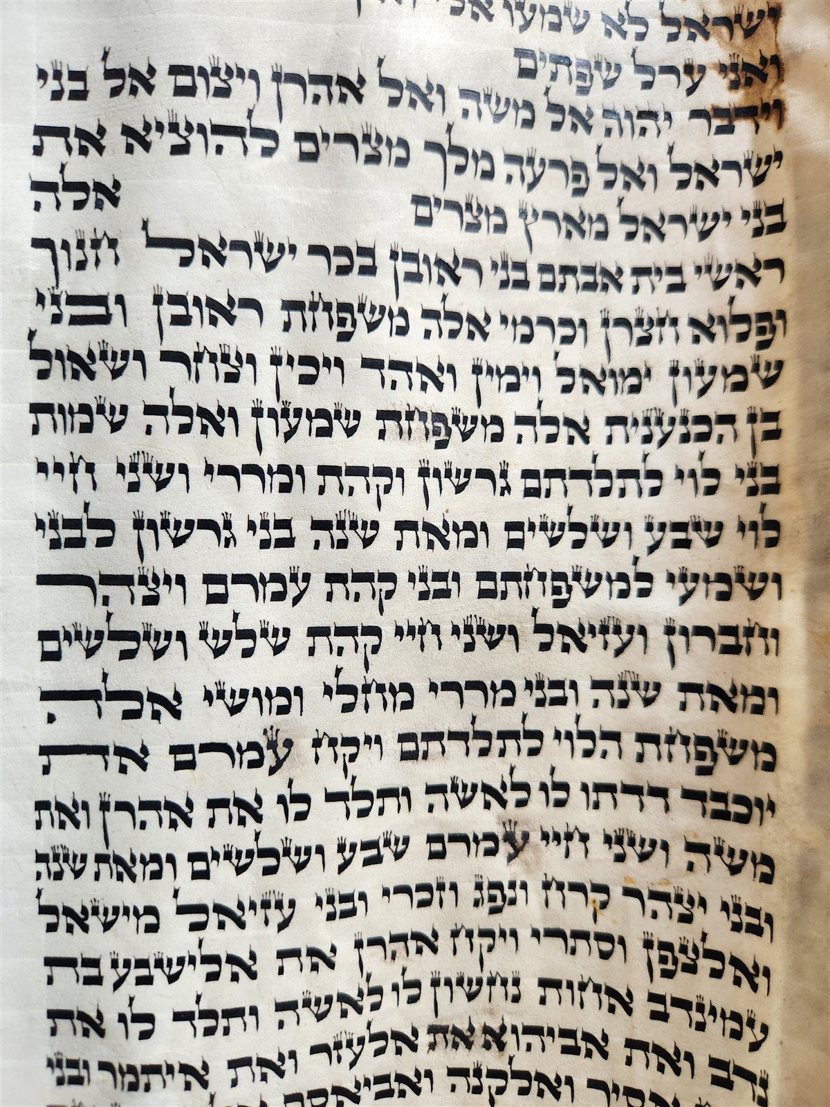 TORAH SCROLL FRAGMENT MANUSCRIPT on VELLUM 19th century ANTIQUE BIBLE EXODUS 12