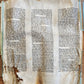 TORAH SCROLL FRAGMENT MANUSCRIPT on VELLUM 19th century ANTIQUE 18 by 19.5"