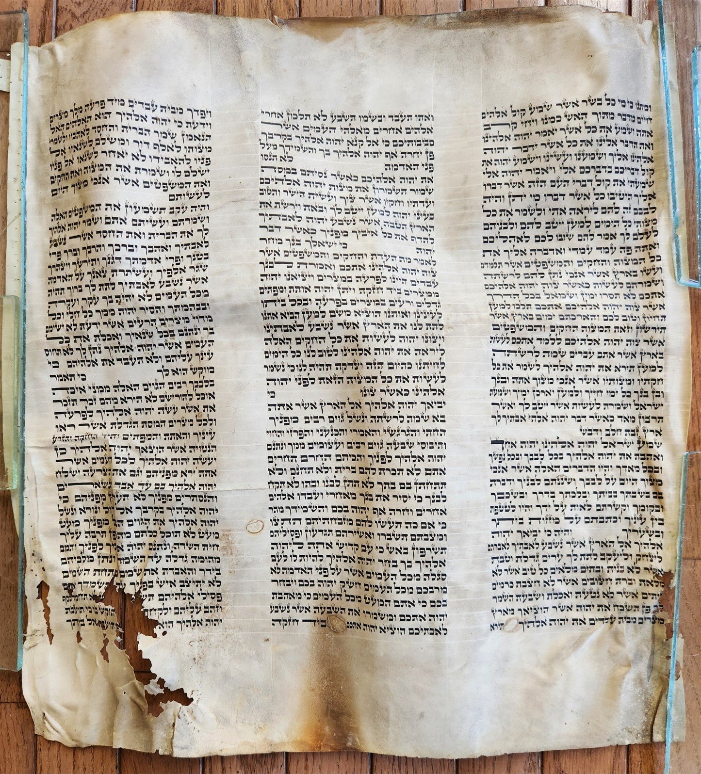 TORAH SCROLL FRAGMENT MANUSCRIPT on VELLUM 19th century ANTIQUE 18 by 19.5"