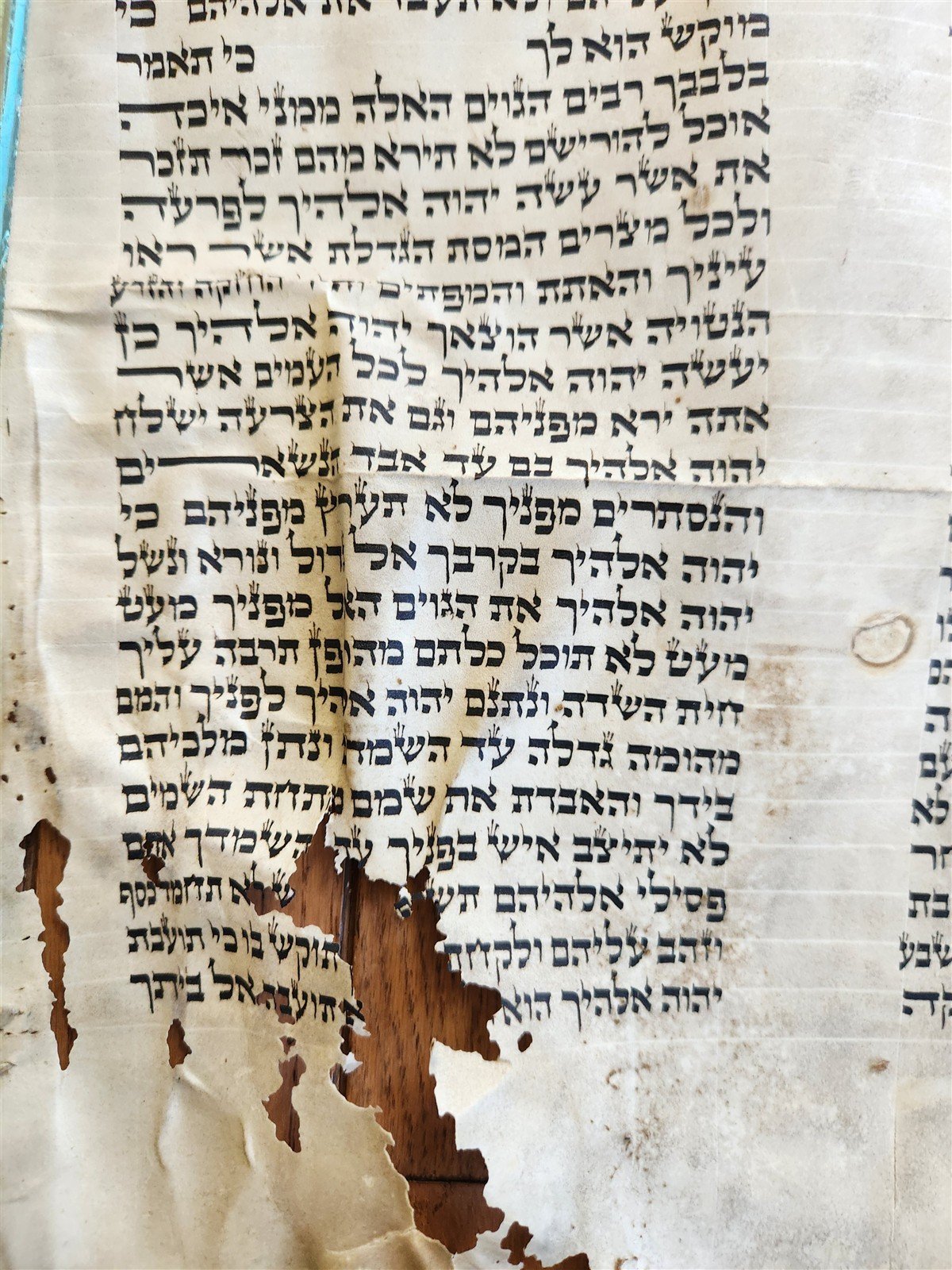 TORAH SCROLL FRAGMENT MANUSCRIPT on VELLUM 19th century ANTIQUE 18 by 19.5"
