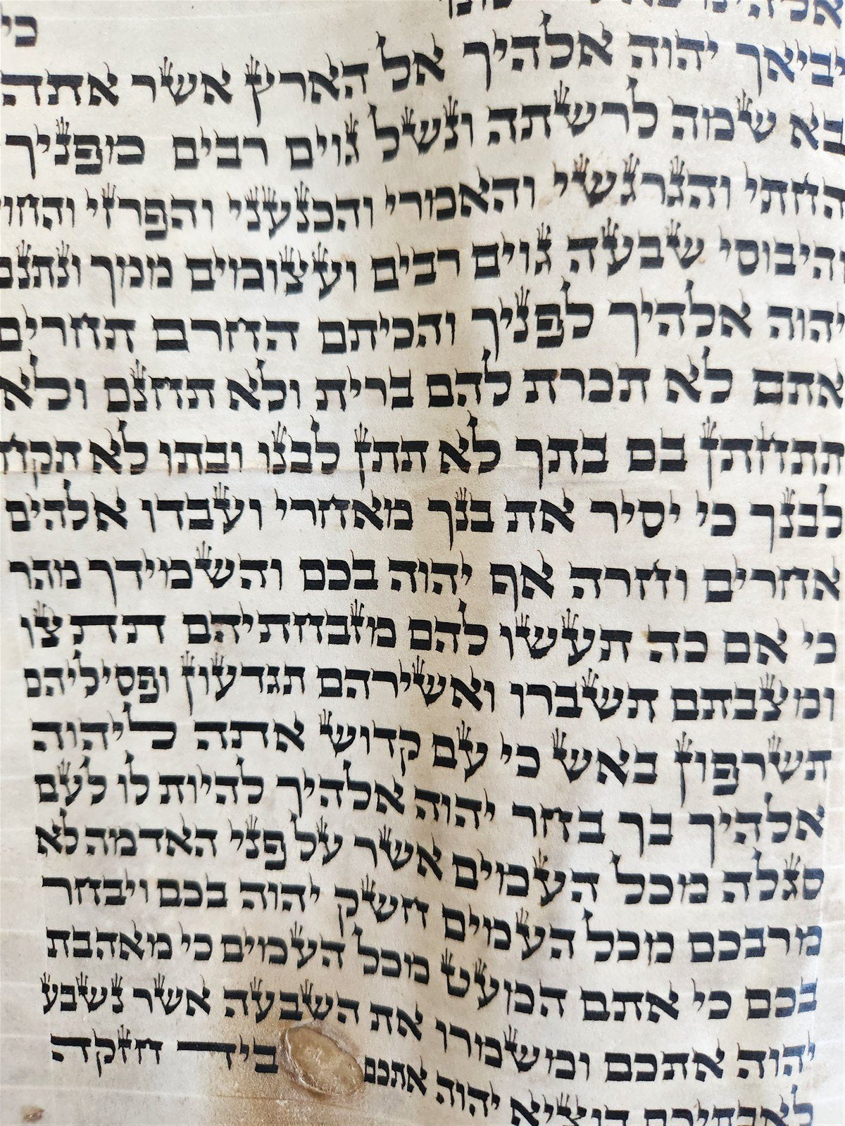 TORAH SCROLL FRAGMENT MANUSCRIPT on VELLUM 19th century ANTIQUE 18 by 19.5"