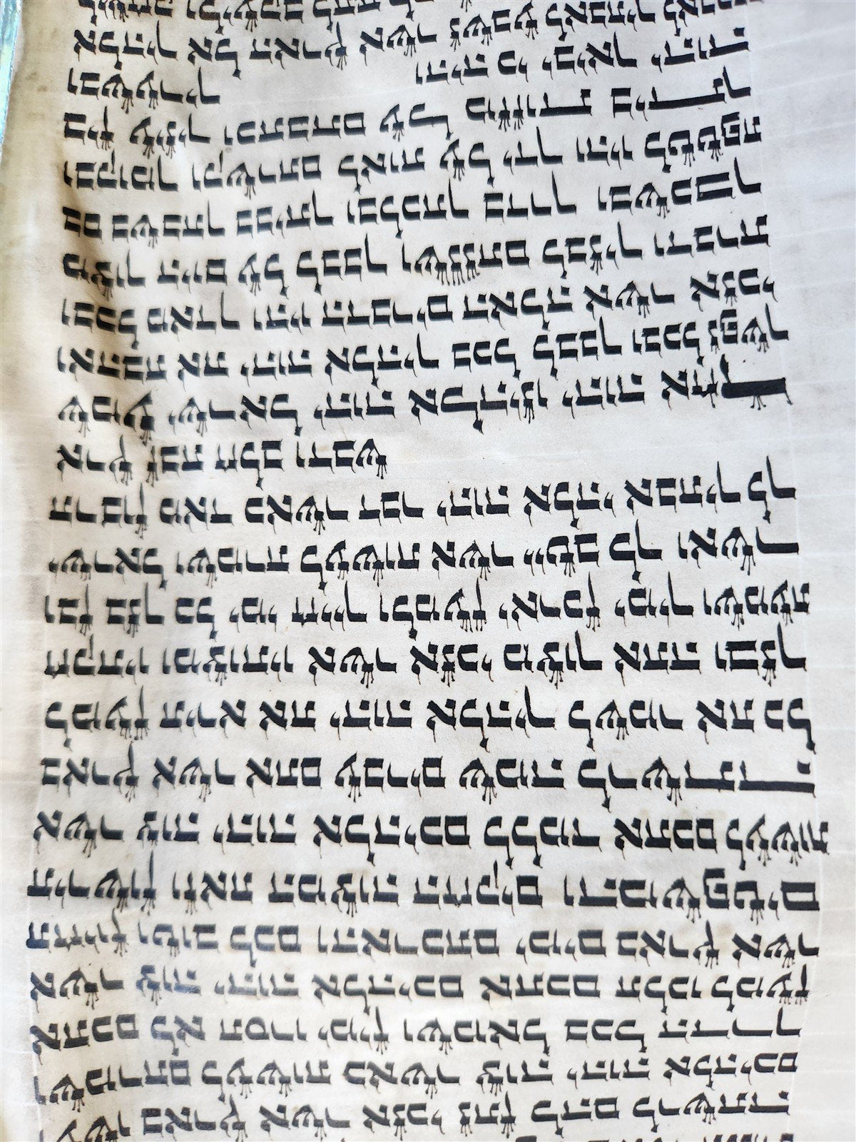 TORAH SCROLL FRAGMENT MANUSCRIPT on VELLUM 19th century ANTIQUE 18 by 19.5"
