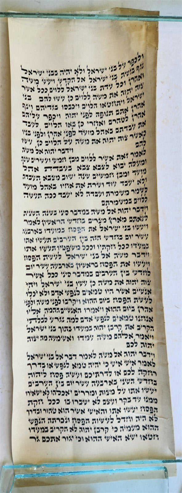 TORAH SCROLL FRAGMENT MANUSCRIPT on VELLUM 19th century ANTIQUE BOOK of NUMBERS