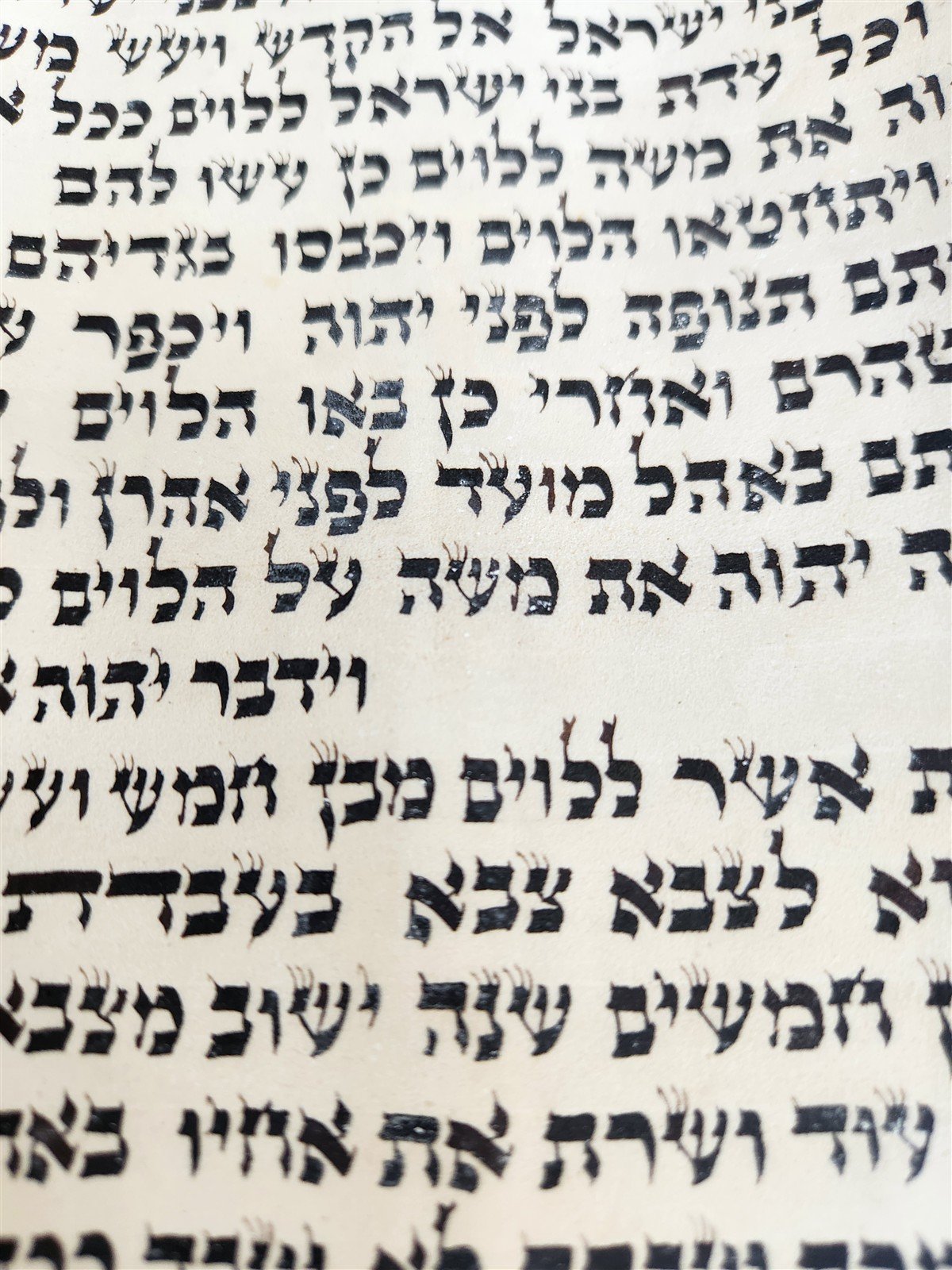 TORAH SCROLL FRAGMENT MANUSCRIPT on VELLUM 19th century ANTIQUE BOOK of NUMBERS