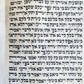 TORAH SCROLL FRAGMENT MANUSCRIPT on VELLUM 19th century ANTIQUE NUMBERS 22-24
