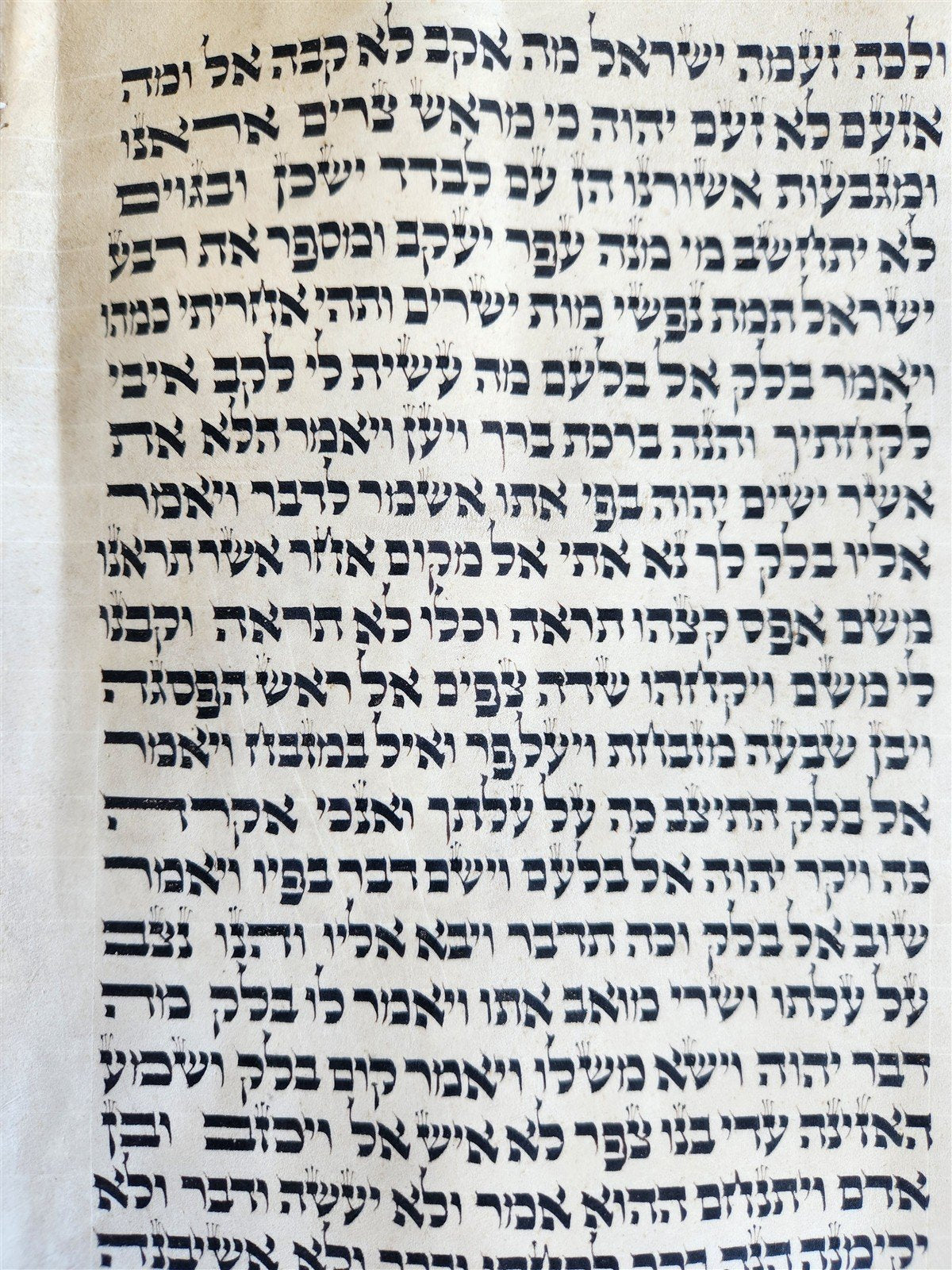 TORAH SCROLL FRAGMENT MANUSCRIPT on VELLUM 19th century ANTIQUE NUMBERS 22-24