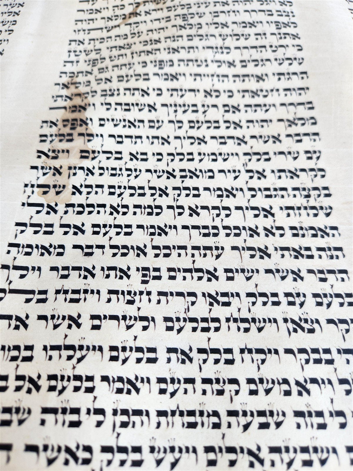 TORAH SCROLL FRAGMENT MANUSCRIPT on VELLUM 19th century ANTIQUE NUMBERS 22-24
