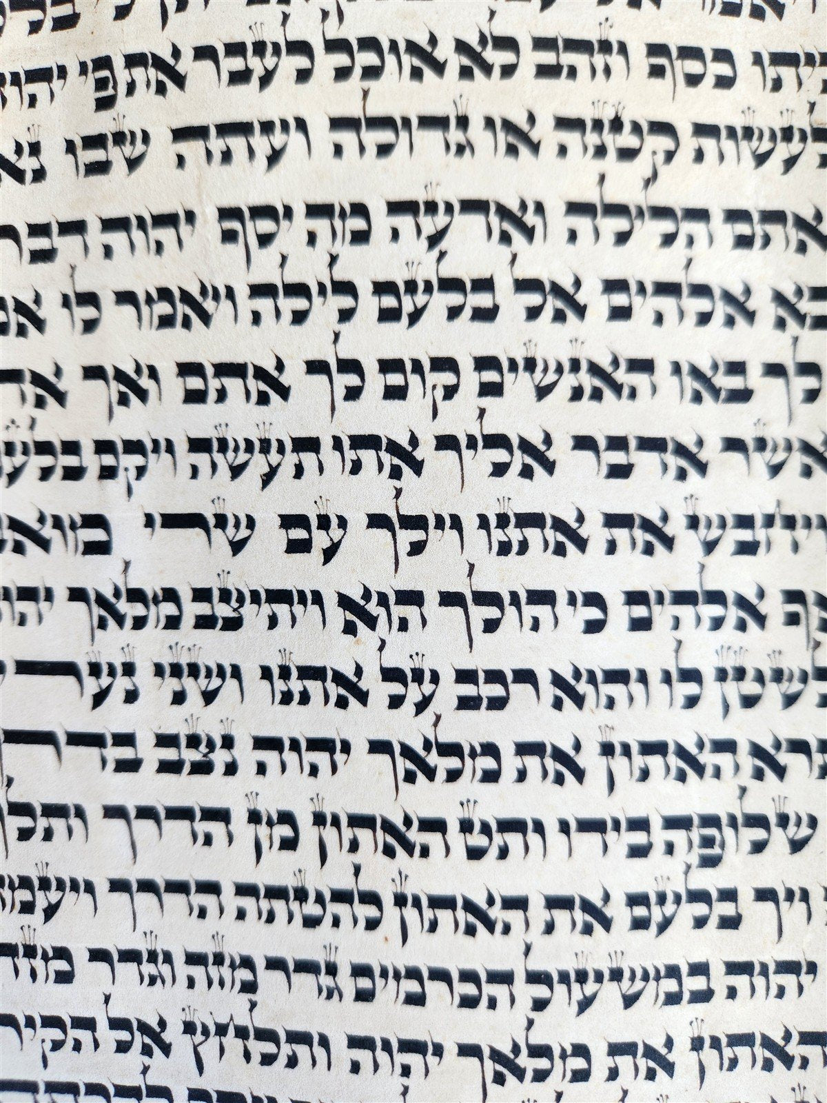 TORAH SCROLL FRAGMENT MANUSCRIPT on VELLUM 19th century ANTIQUE NUMBERS 22-24