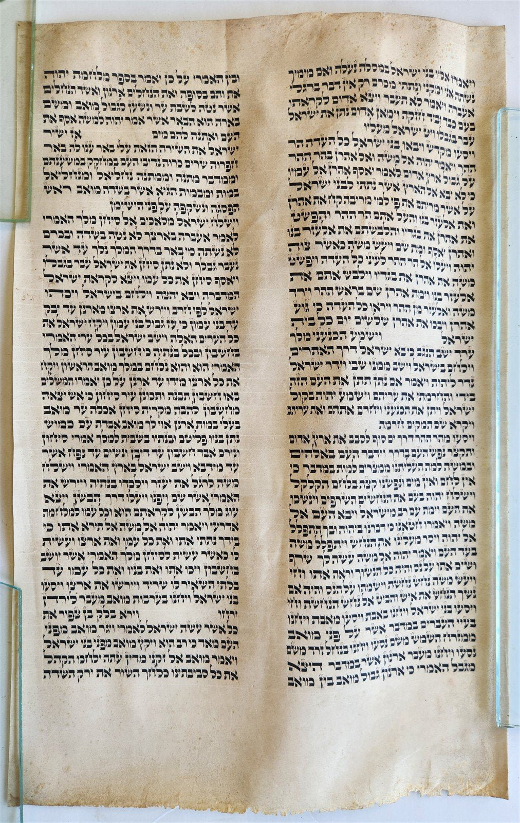 TORAH SCROLL FRAGMENT MANUSCRIPT on VELLUM 19th century ANTIQUE NUMBERS 21:21-35