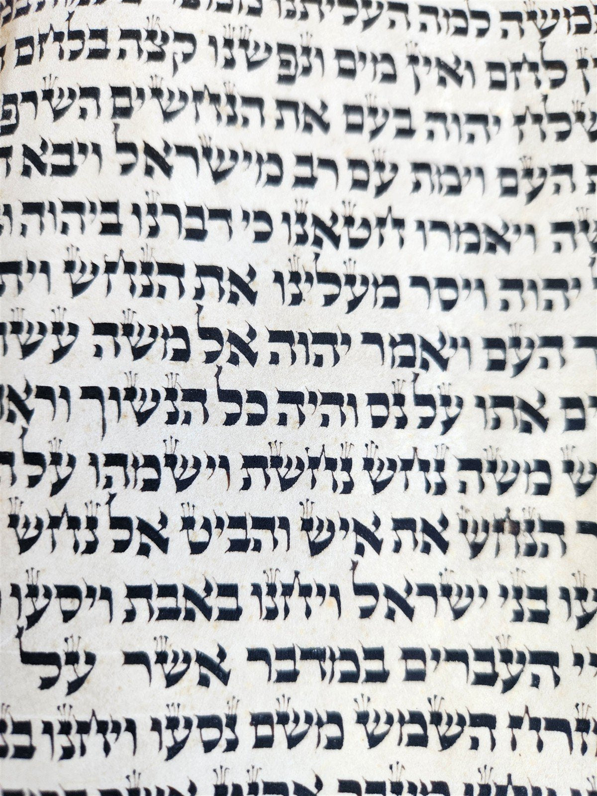 TORAH SCROLL FRAGMENT MANUSCRIPT on VELLUM 19th century ANTIQUE NUMBERS 21:21-35