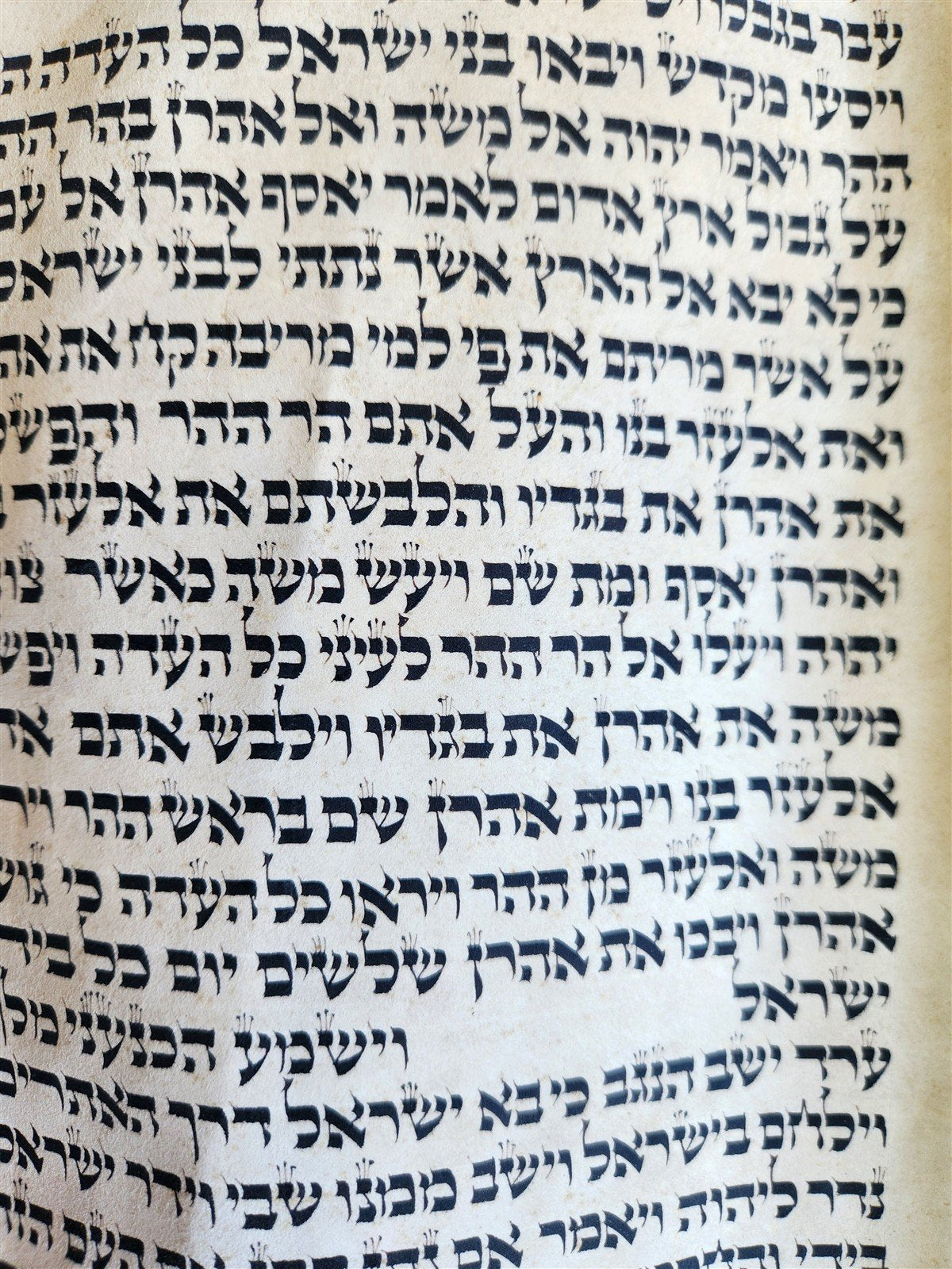 TORAH SCROLL FRAGMENT MANUSCRIPT on VELLUM 19th century ANTIQUE NUMBERS 21:21-35