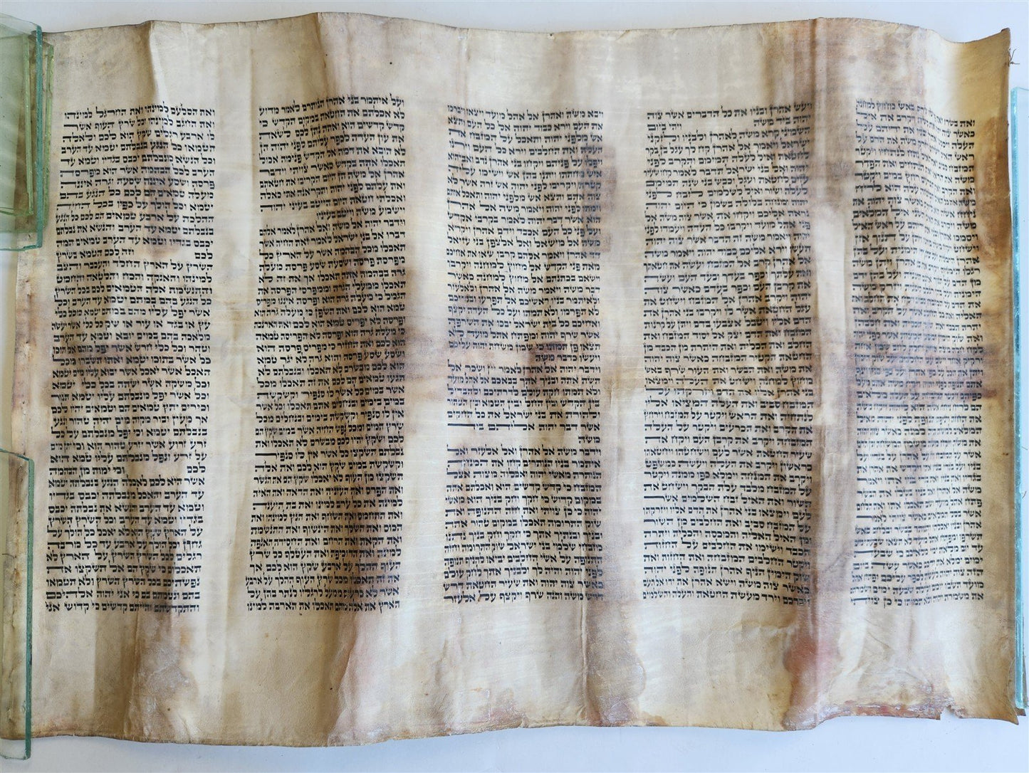 TORAH SCROLL FRAGMENT MANUSCRIPT on VELLUM 19th century ANTIQUE LEVITICUS 9:3