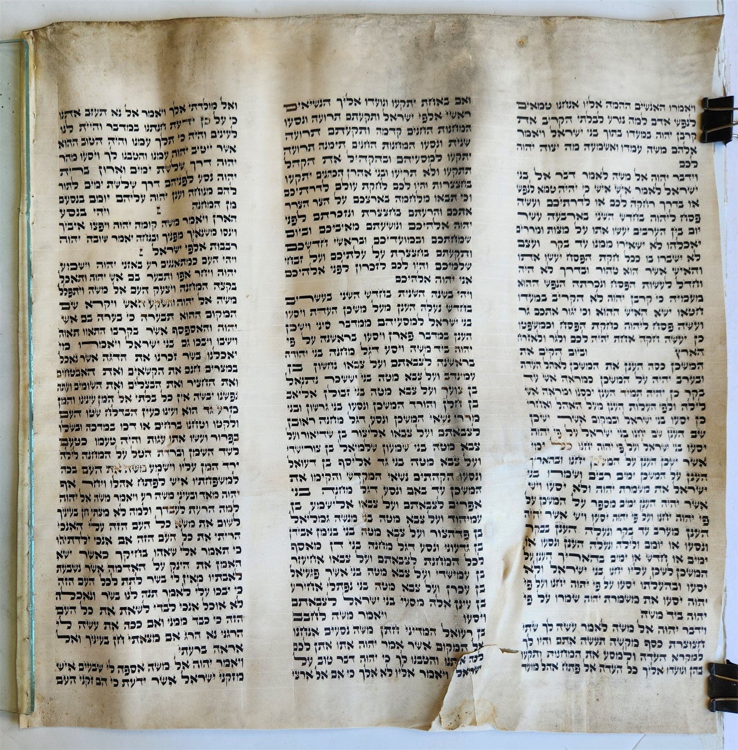 TORAH SCROLL FRAGMENT MANUSCRIPT on VELLUM 19th century ANTIQUE Book of NUMBERS