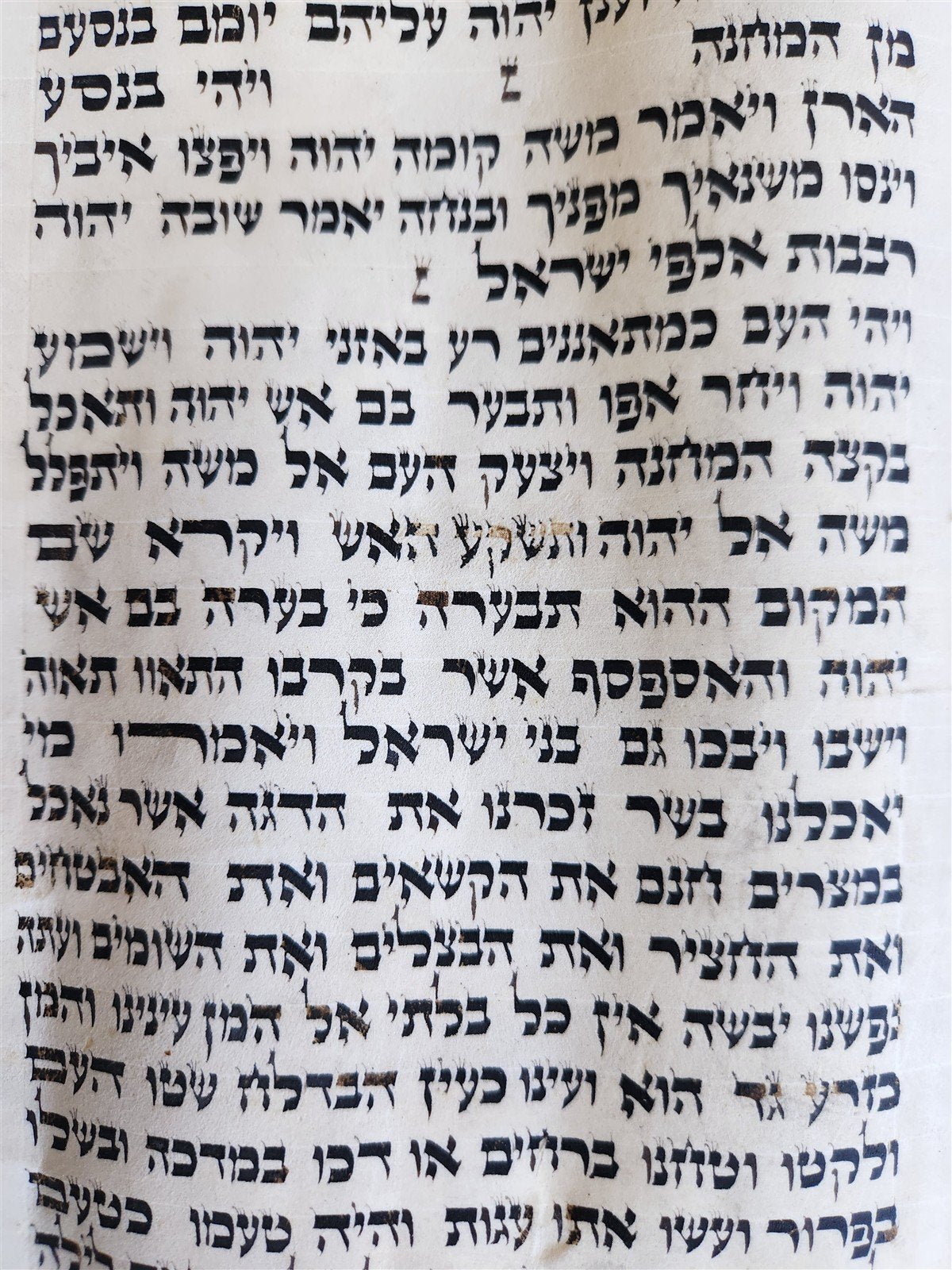 TORAH SCROLL FRAGMENT MANUSCRIPT on VELLUM 19th century ANTIQUE Book of NUMBERS