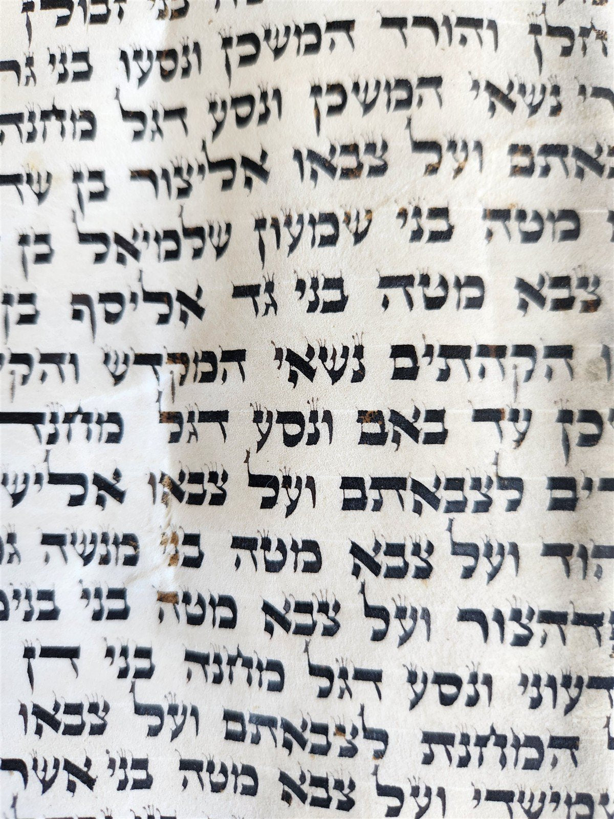 TORAH SCROLL FRAGMENT MANUSCRIPT on VELLUM 19th century ANTIQUE Book of NUMBERS