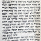 TORAH SCROLL FRAGMENT MANUSCRIPT on VELLUM 19th century ANTIQUE Book of NUMBERS