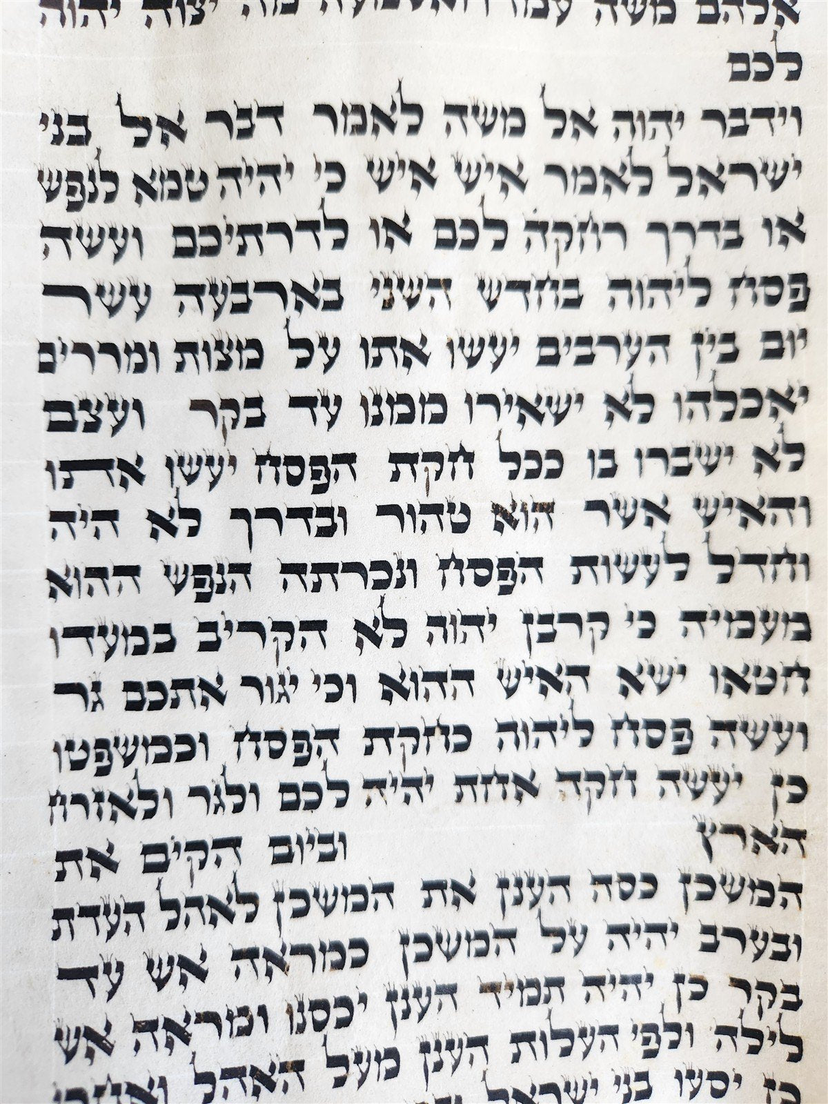TORAH SCROLL FRAGMENT MANUSCRIPT on VELLUM 19th century ANTIQUE Book of NUMBERS