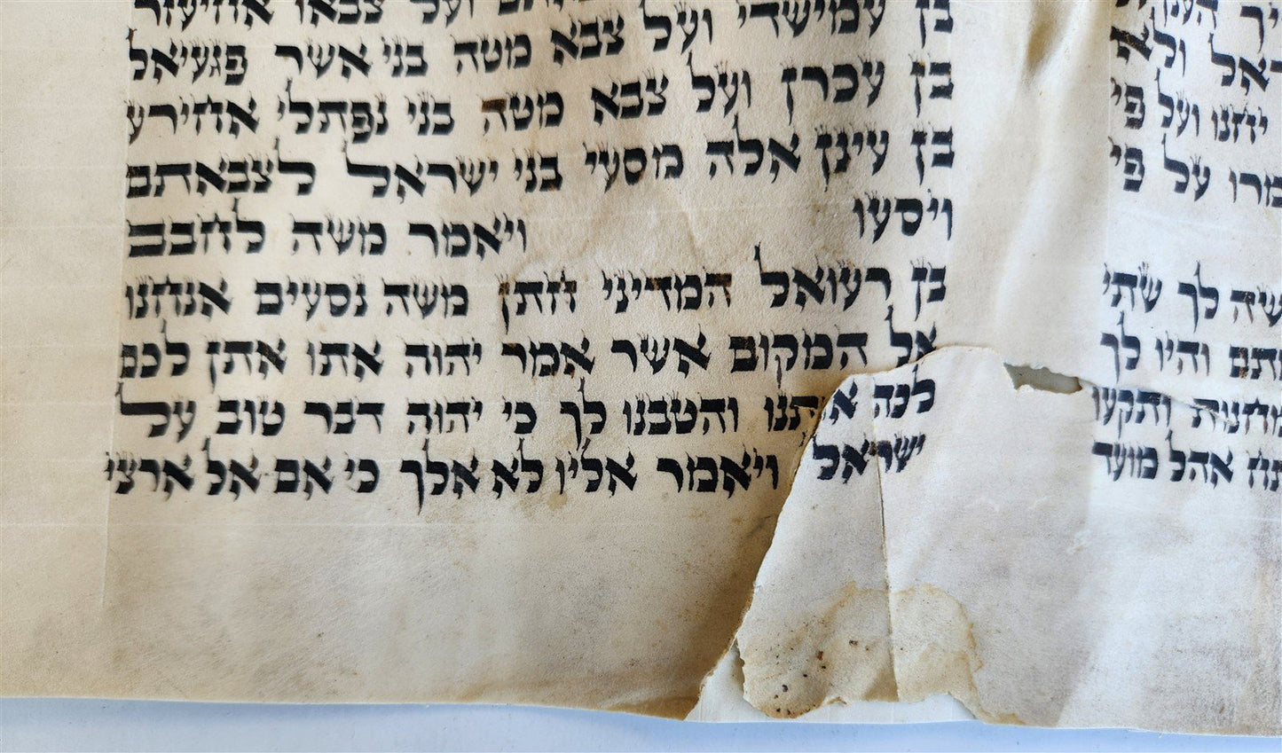 TORAH SCROLL FRAGMENT MANUSCRIPT on VELLUM 19th century ANTIQUE Book of NUMBERS