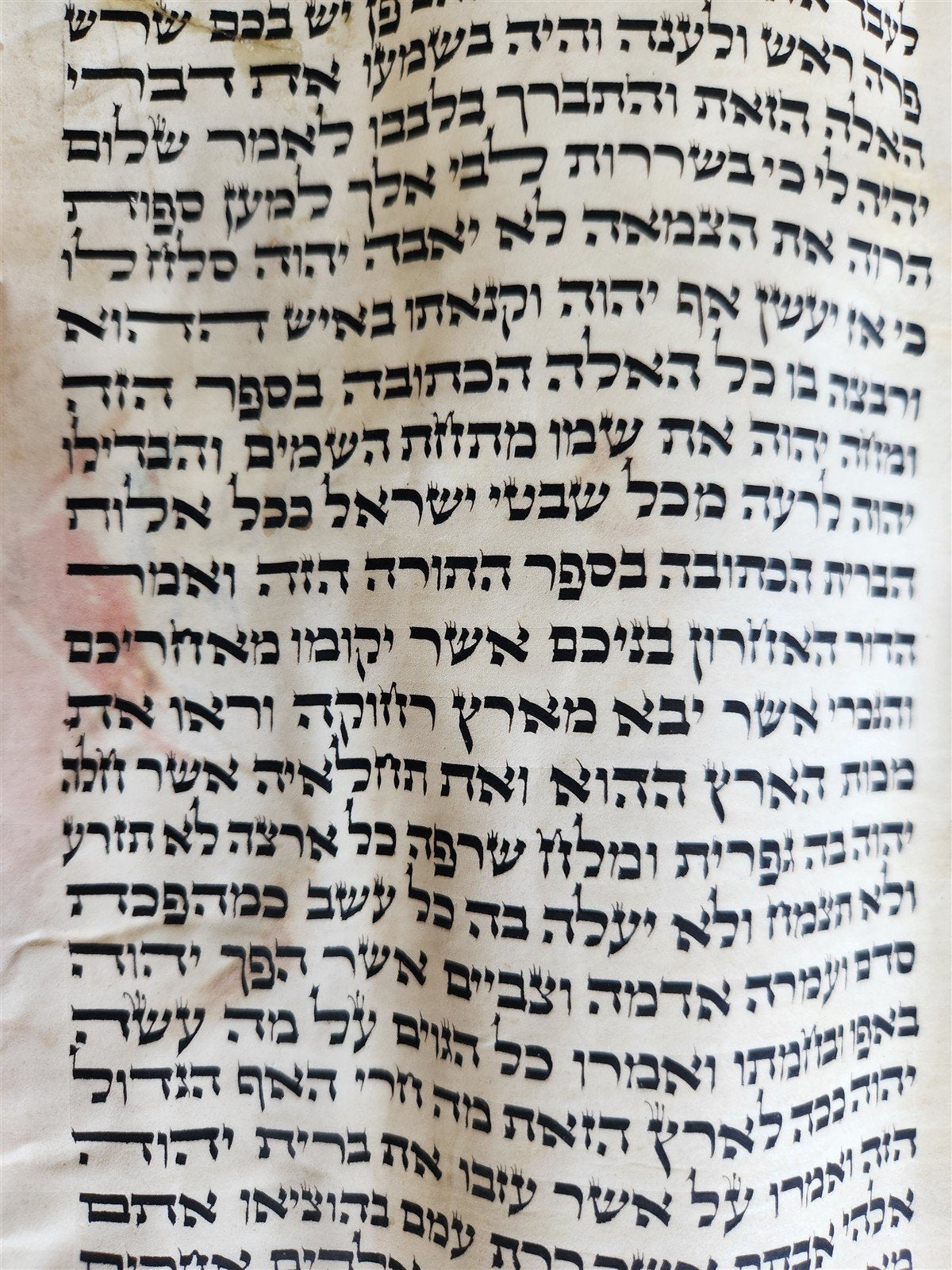 TORAH SCROLL FRAGMENT VELLUM MANUSCRIPT 19th century ANTIQUE DEUTERONOMY 28:30