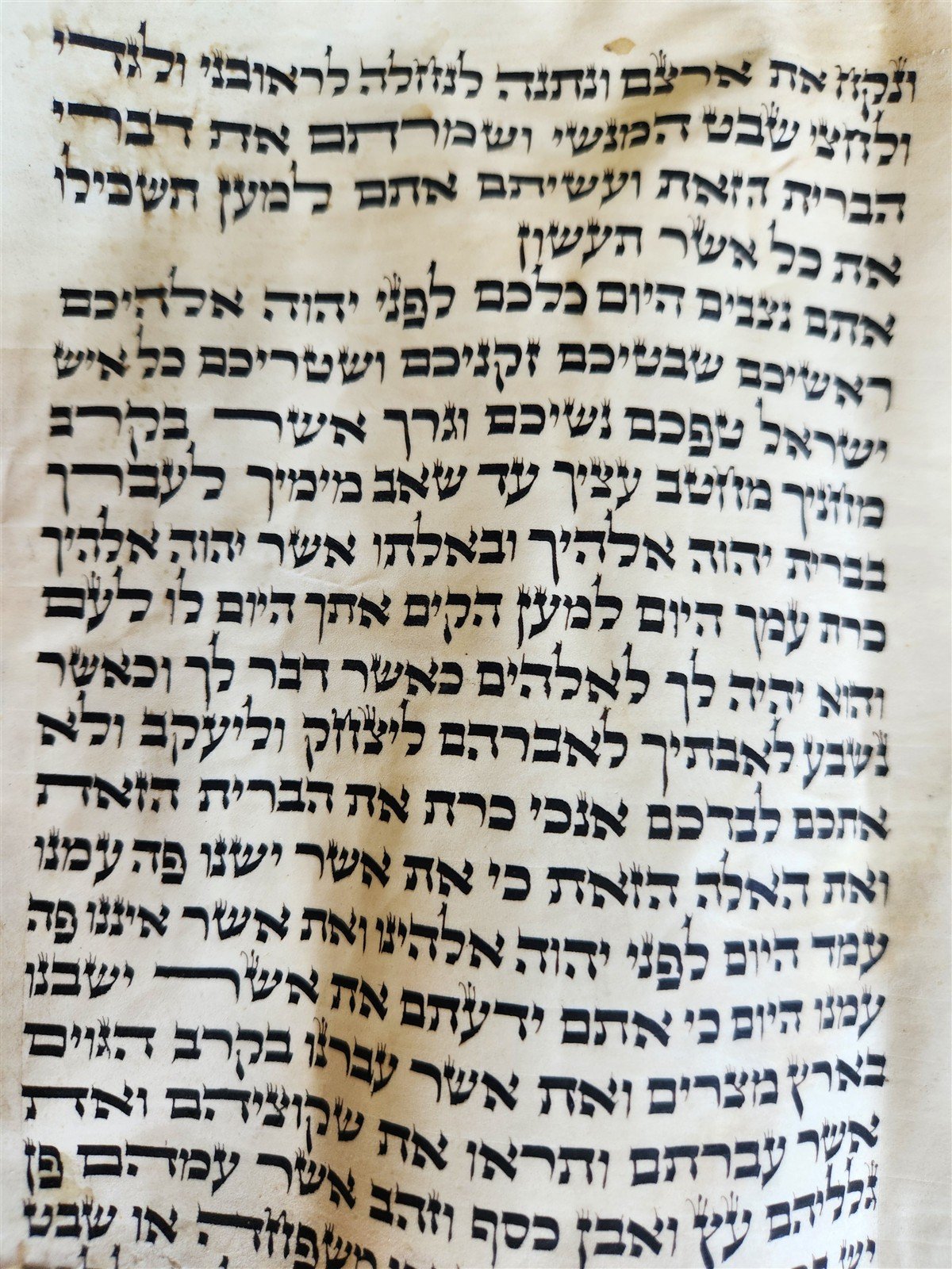 TORAH SCROLL FRAGMENT VELLUM MANUSCRIPT 19th century ANTIQUE DEUTERONOMY 28:30