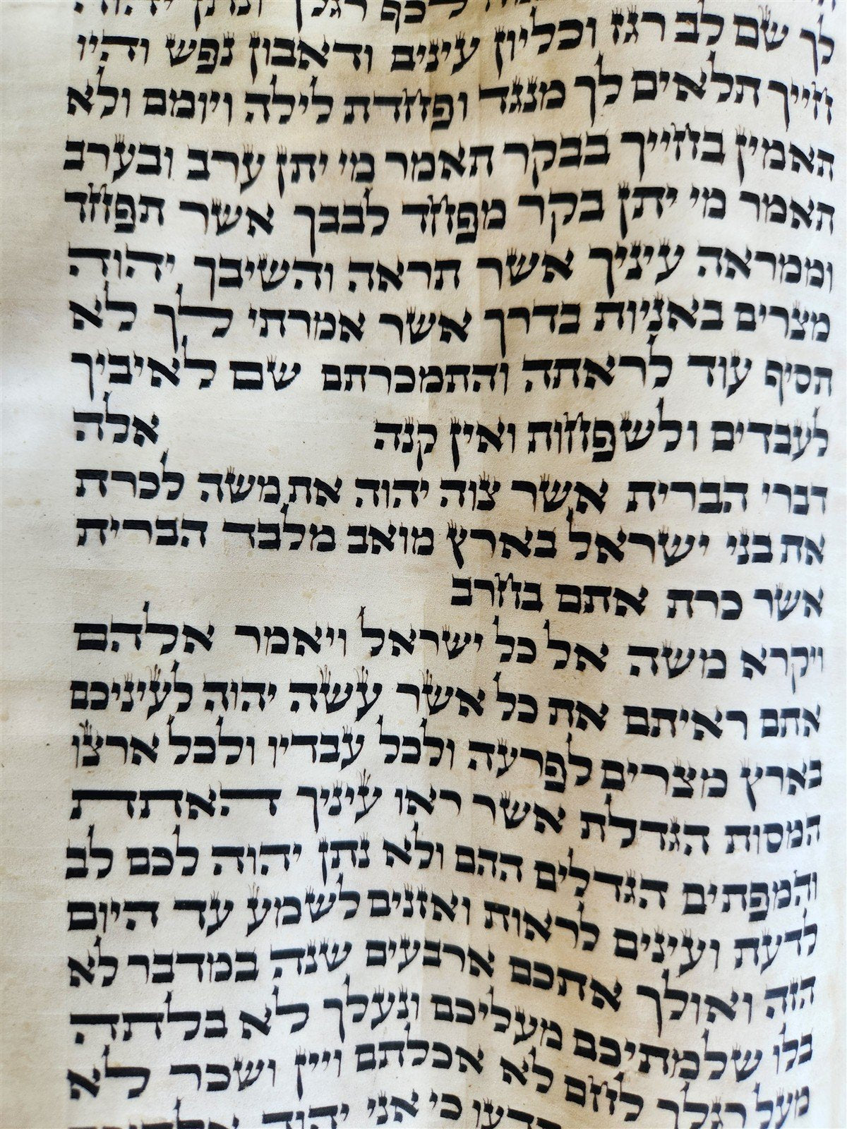 TORAH SCROLL FRAGMENT VELLUM MANUSCRIPT 19th century ANTIQUE DEUTERONOMY 28:30