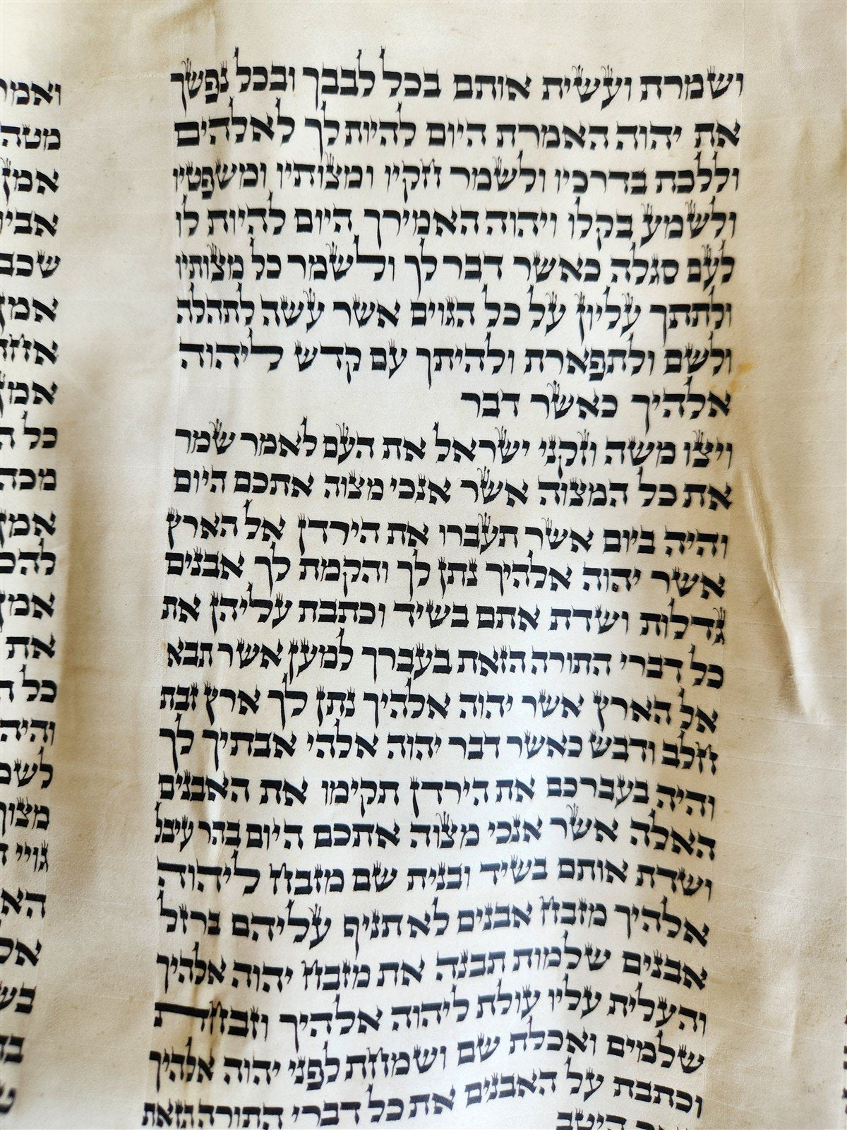 TORAH SCROLL FRAGMENT VELLUM MANUSCRIPT 19th century ANTIQUE DEUTERONOMY 24 - 28