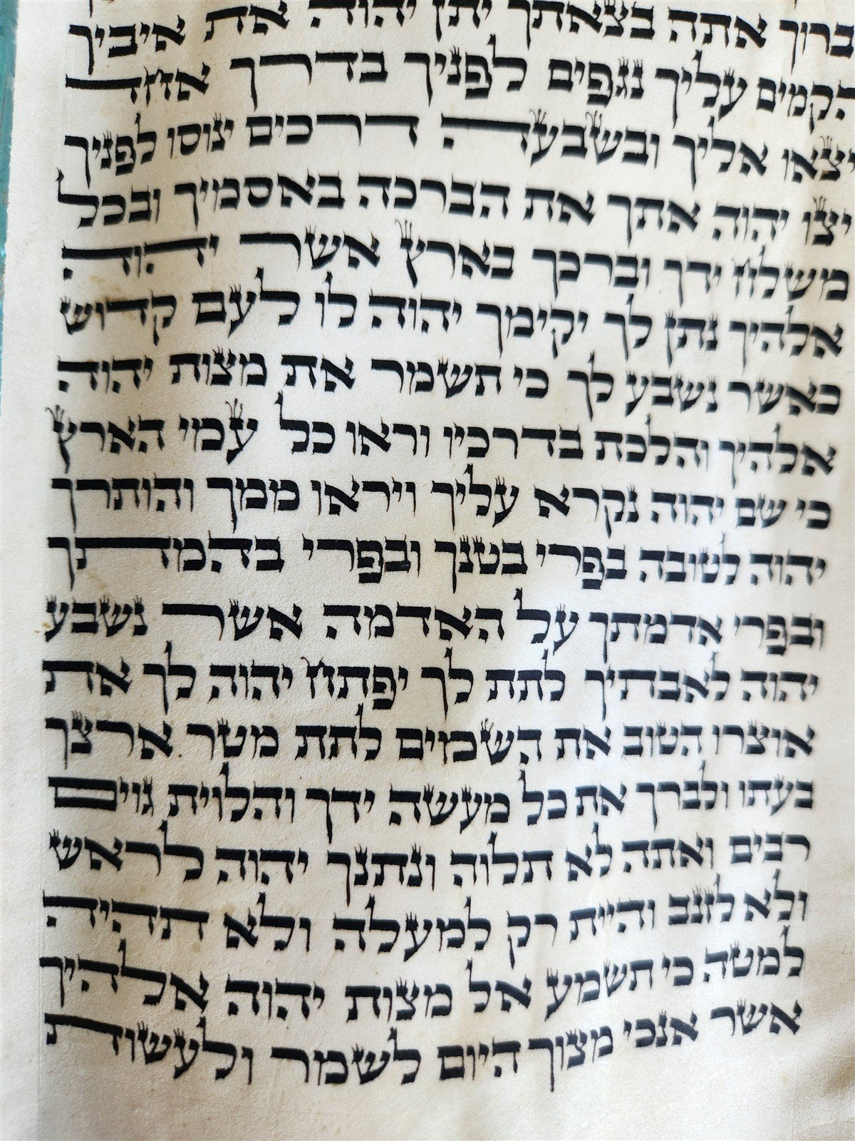TORAH SCROLL FRAGMENT VELLUM MANUSCRIPT 19th century ANTIQUE DEUTERONOMY 24 - 28
