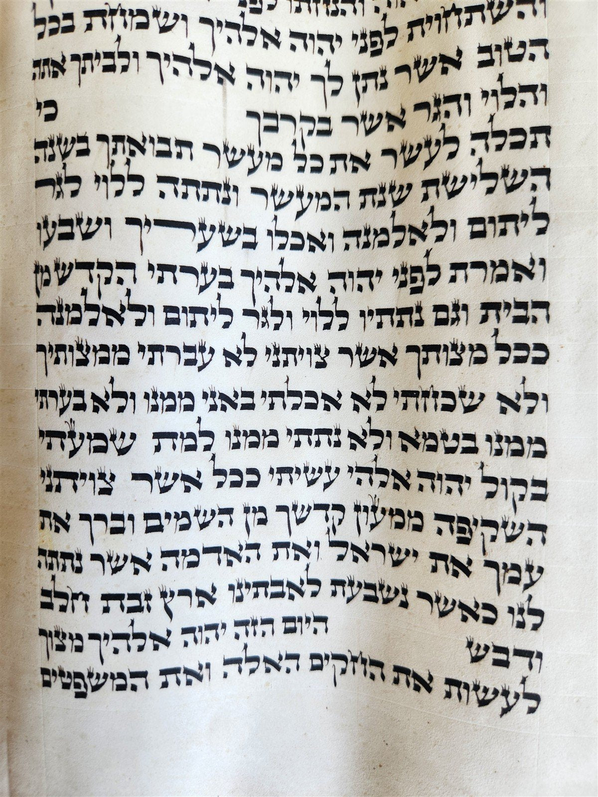 TORAH SCROLL FRAGMENT VELLUM MANUSCRIPT 19th century ANTIQUE DEUTERONOMY 24 - 28