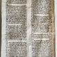 TORAH SCROLL FRAGMENT VELLUM MANUSCRIPT 19th century ANTIQUE book of LEVITICUS