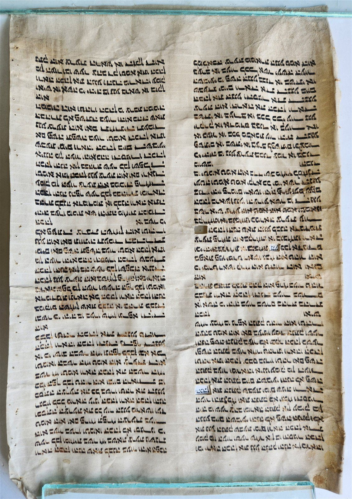 TORAH SCROLL FRAGMENT VELLUM MANUSCRIPT 19th century ANTIQUE book of LEVITICUS