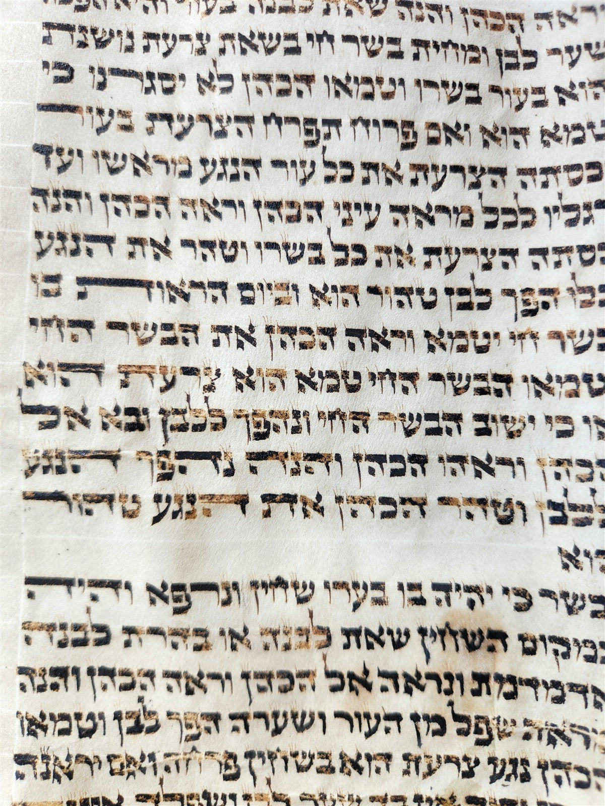 TORAH SCROLL FRAGMENT VELLUM MANUSCRIPT 19th century ANTIQUE book of LEVITICUS