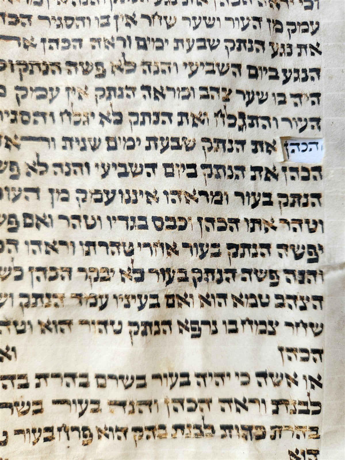 TORAH SCROLL FRAGMENT VELLUM MANUSCRIPT 19th century ANTIQUE book of LEVITICUS